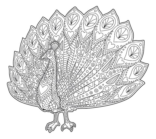 Vogels Duif Gedetailleerd coloring page for children