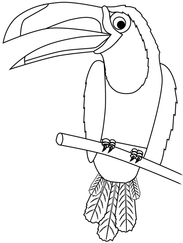 Vogeltukan coloring page for children