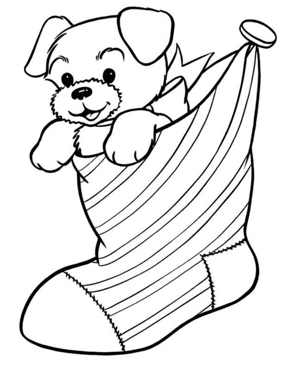 Puppy Coloring Page in Socks