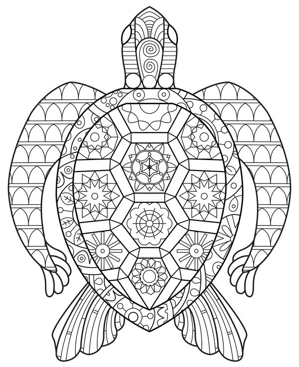 Zentangle Schildpad Boven coloring page for children