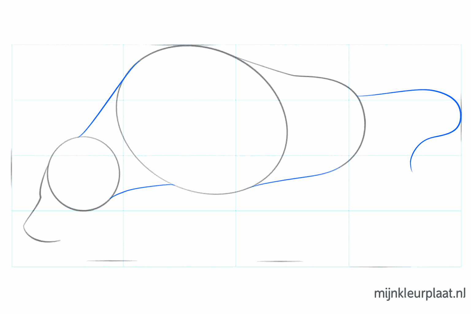 Hulplijnen die de nek en de aanzet van de staart van de stier laten zien.
