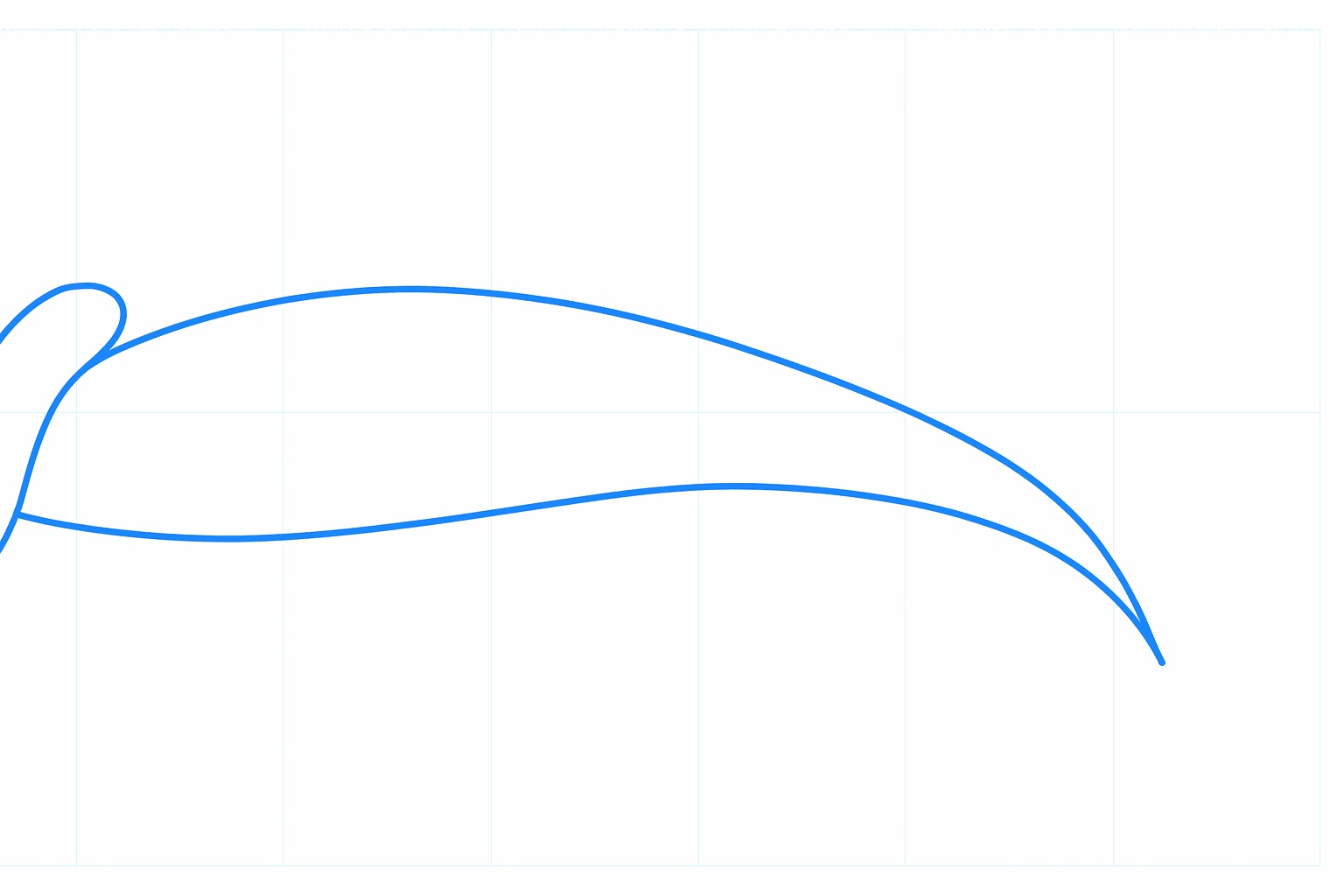 De omtrek van het lichaam van de haai.