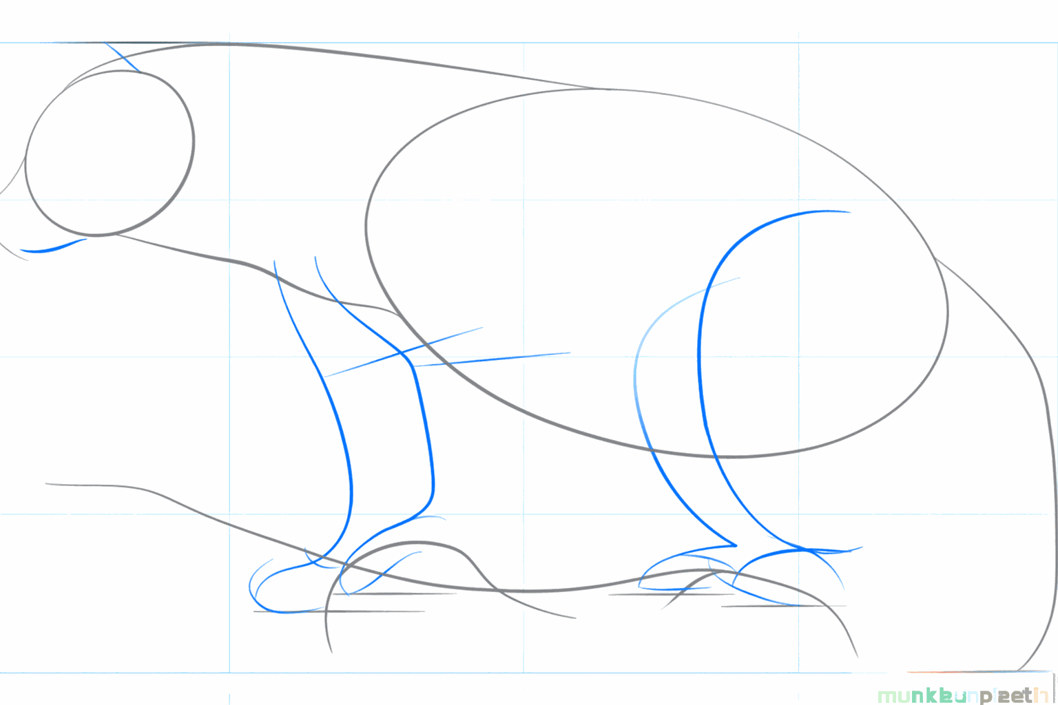 Hulplijnen voor de poten, oren en de snuit van de veelvraat.