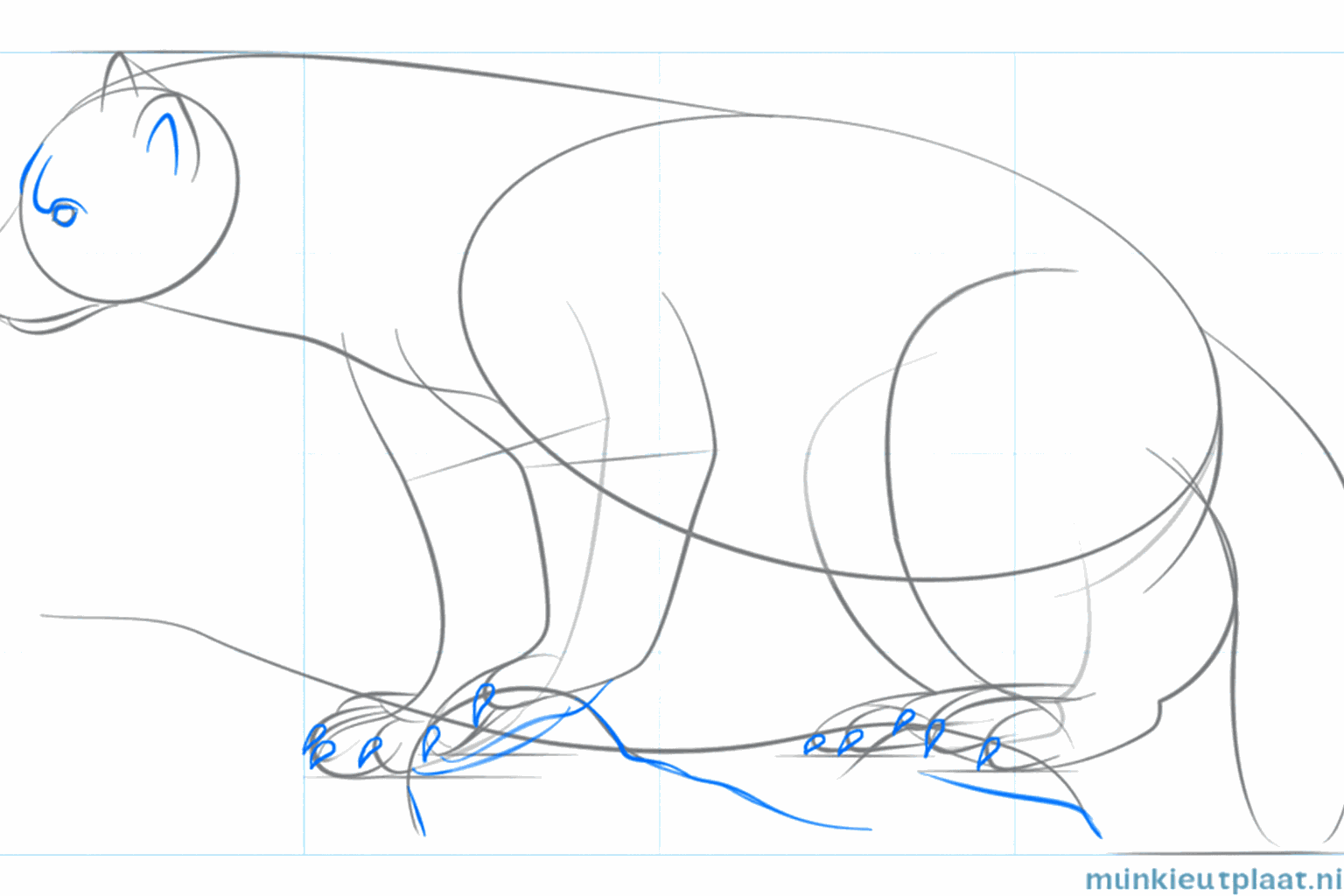 Poten met tenen en klauwen van de veelvraat.