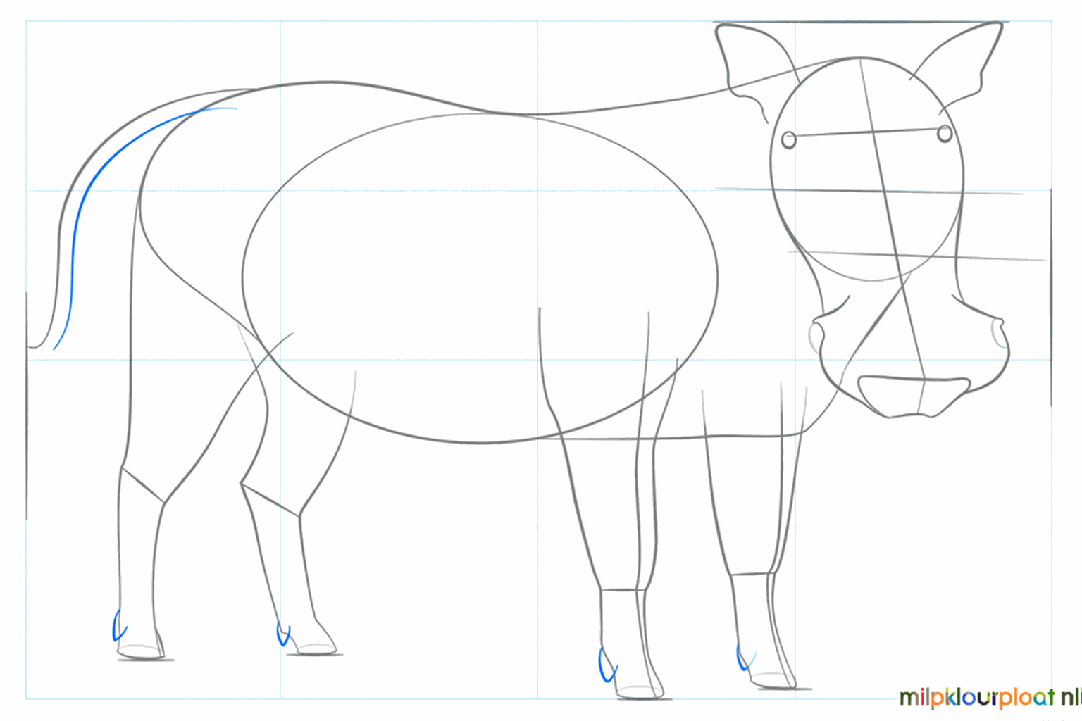 Details van de snuit en de oren worden toegevoegd aan de kop.