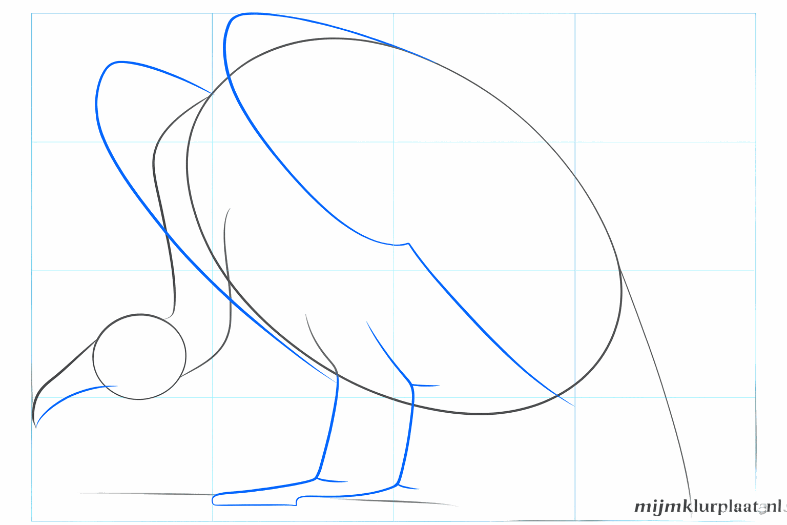 Guide lines for the beak, wings, and legs of the bird.