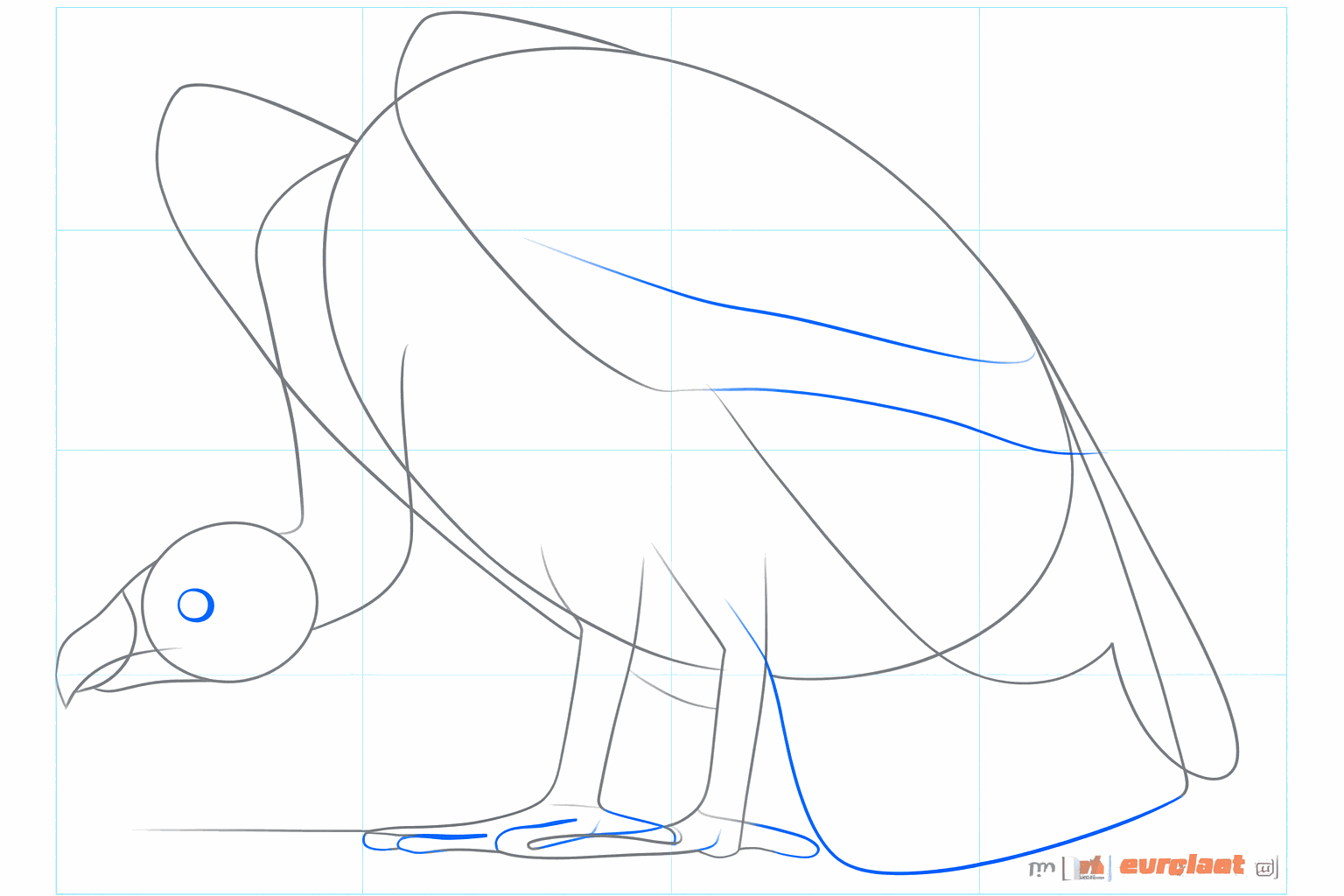 Details of the eye and the outline of the vulture's wing.