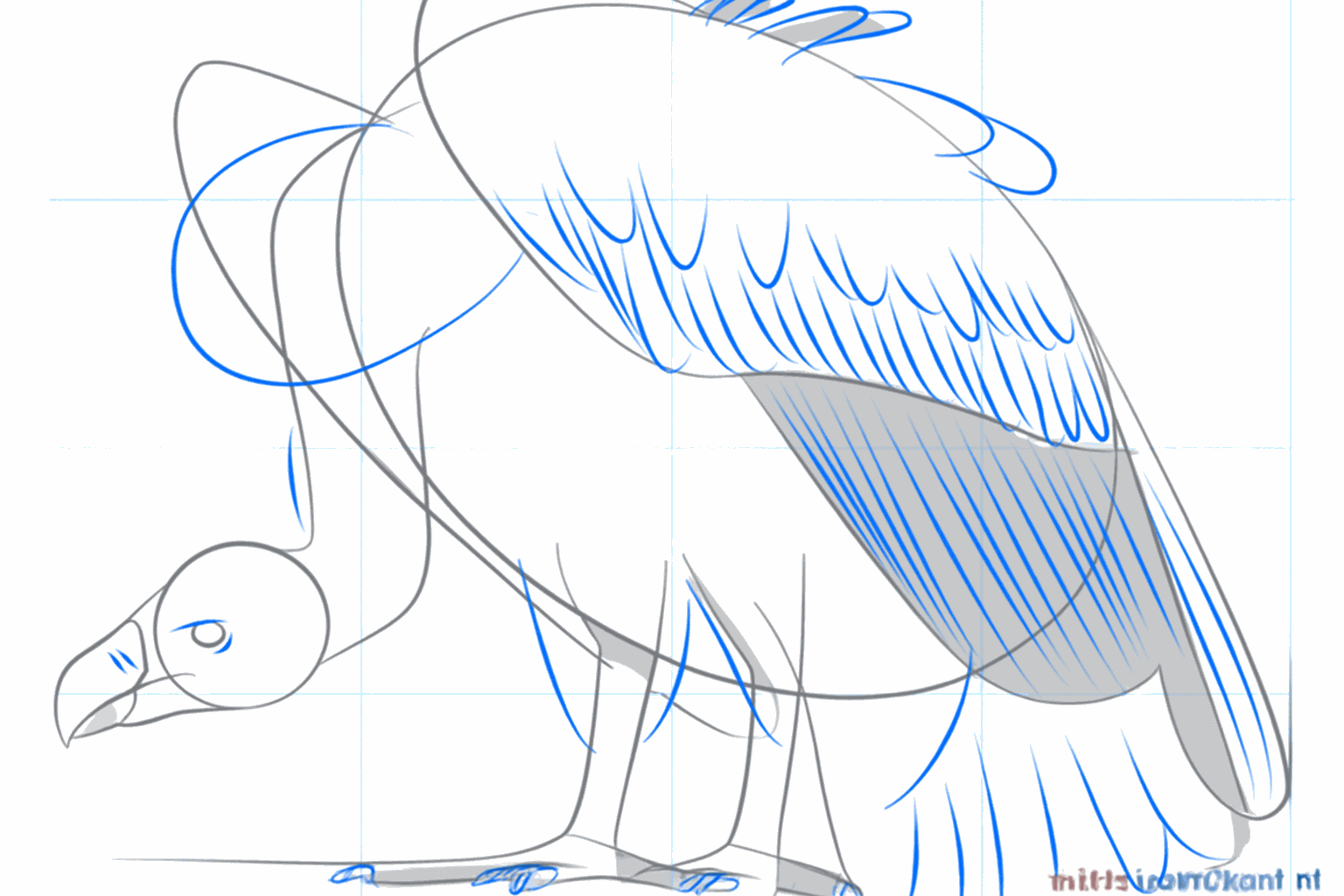 The tail gets feathers and the legs get small claws.