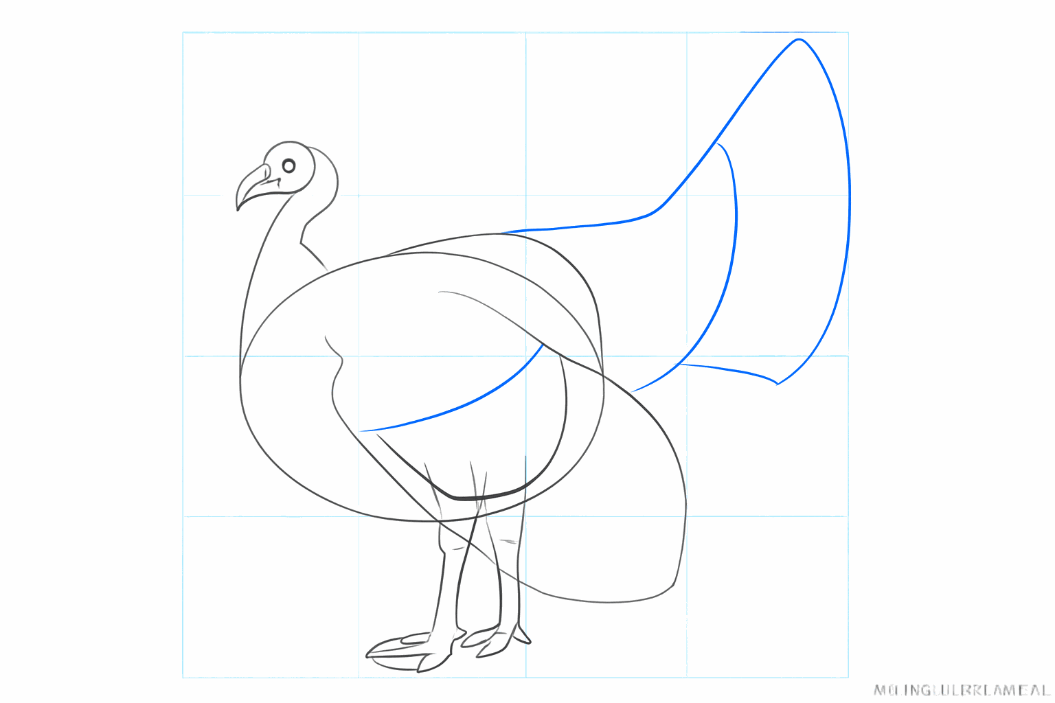 Thicker legs and the first contours of the tail feathers.
