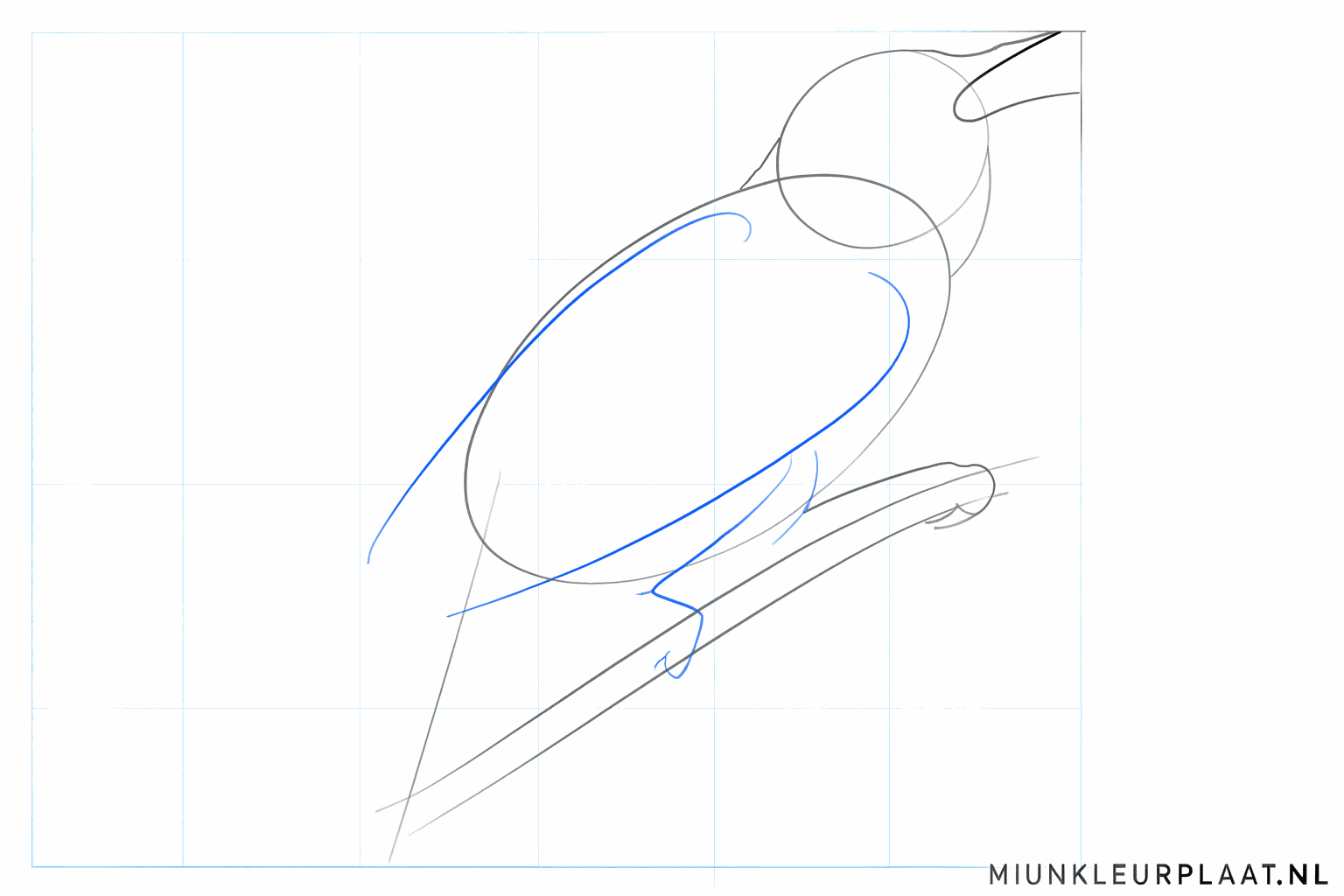 Nightingale drawing lesson step 3: Lines for the beak, wings, and the position of the legs.