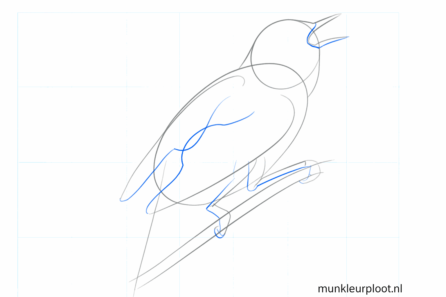 Drawing a bird yourself step 4: Drawing the wing shape and an open beak.