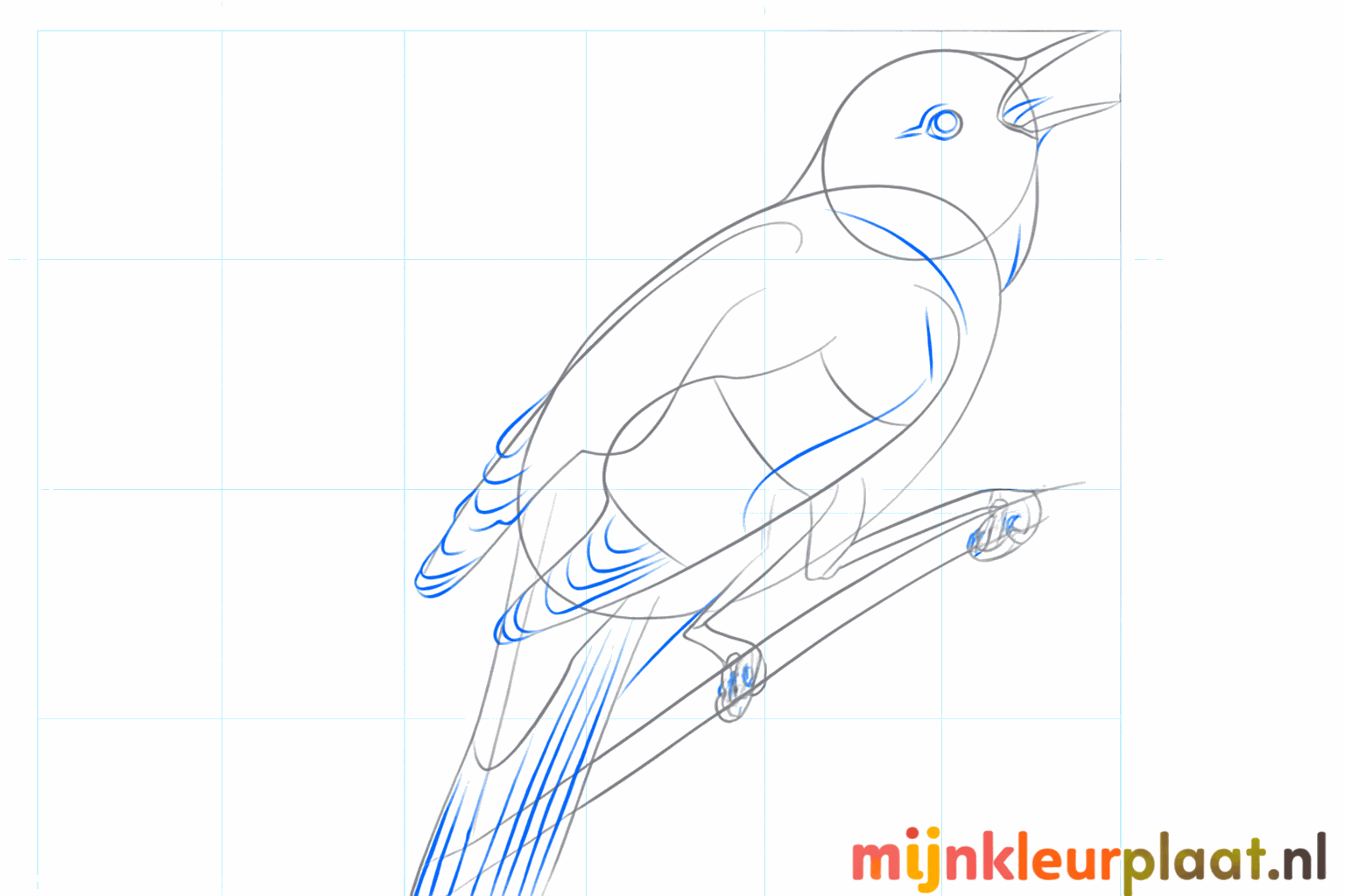 Drawing a nightingale step 6: Drawing legs on the branch and a tongue in the mouth.