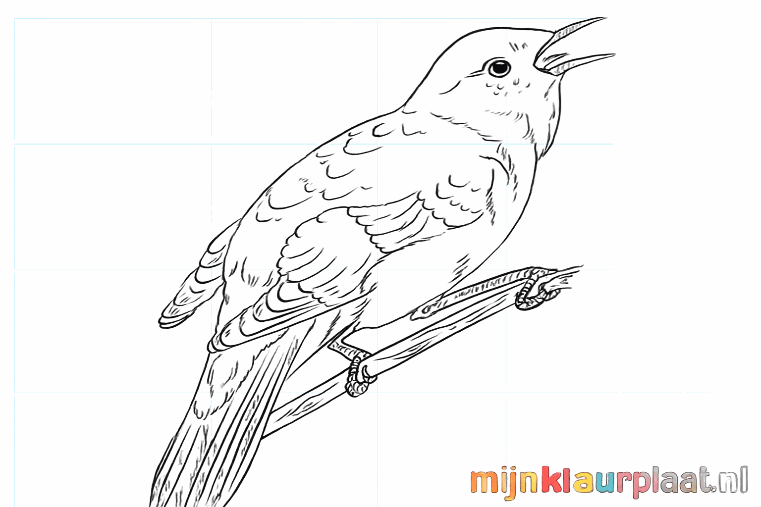 Drawing a singing nightingale