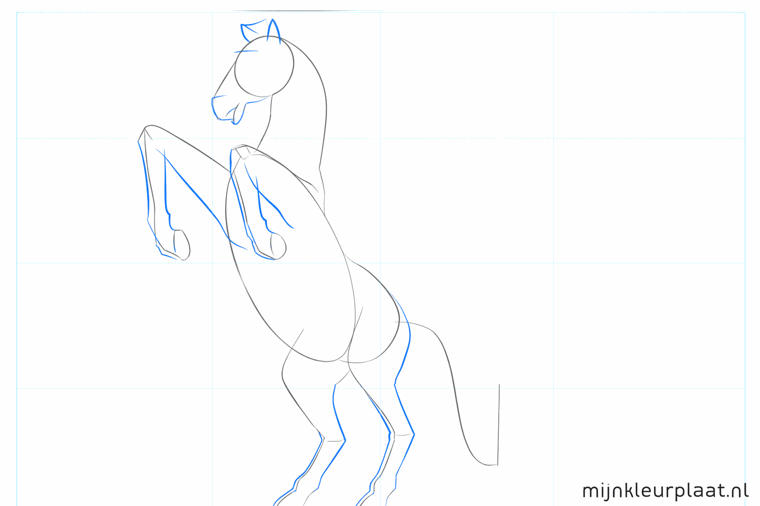 Vormen van de benen, de snuit en de oren van de mustang worden zichtbaar.