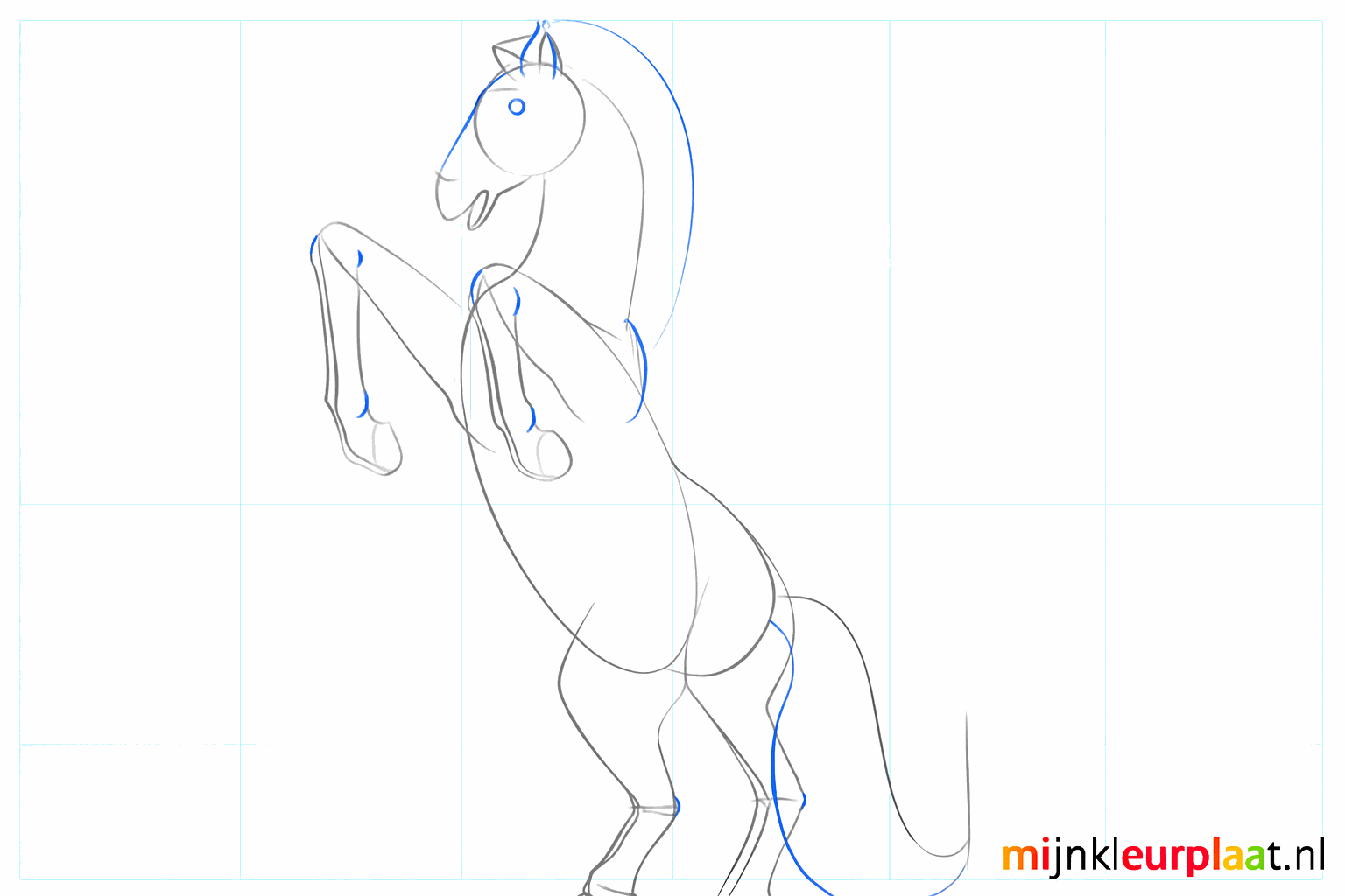 Details van de hoeven en een dikkere staart voor het wilde paard.