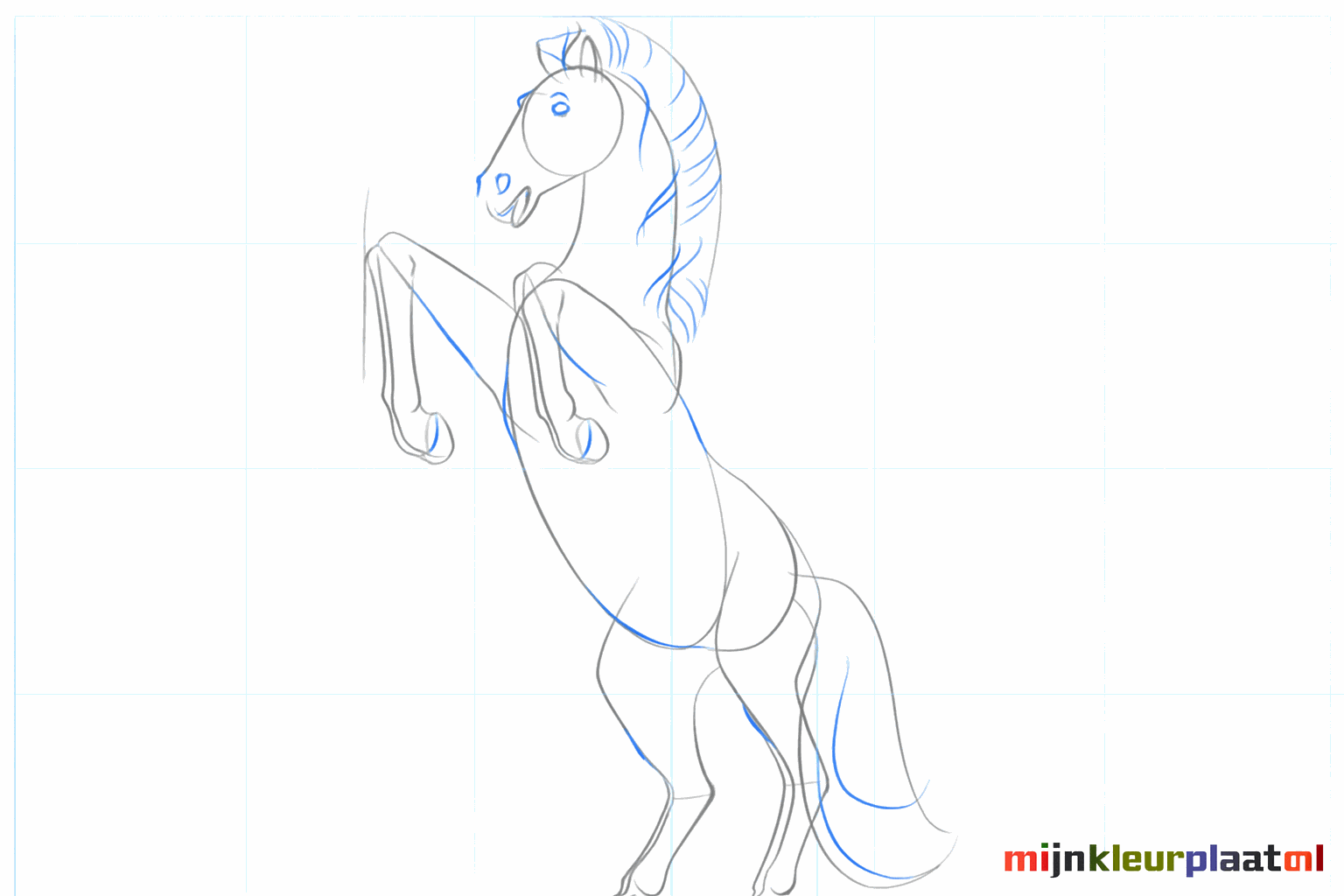 Het gezicht van het paard met een oog, neusgat en wapperende manen.