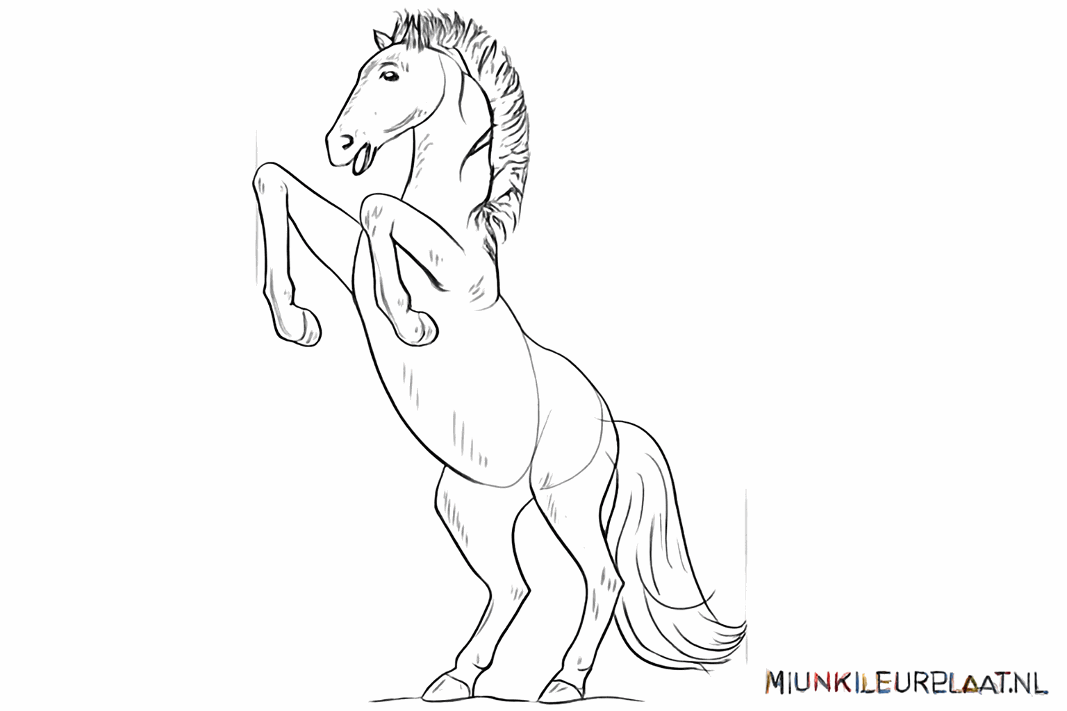 Extra lijnen die de spieren en gewrichten van de mustang accentueren.