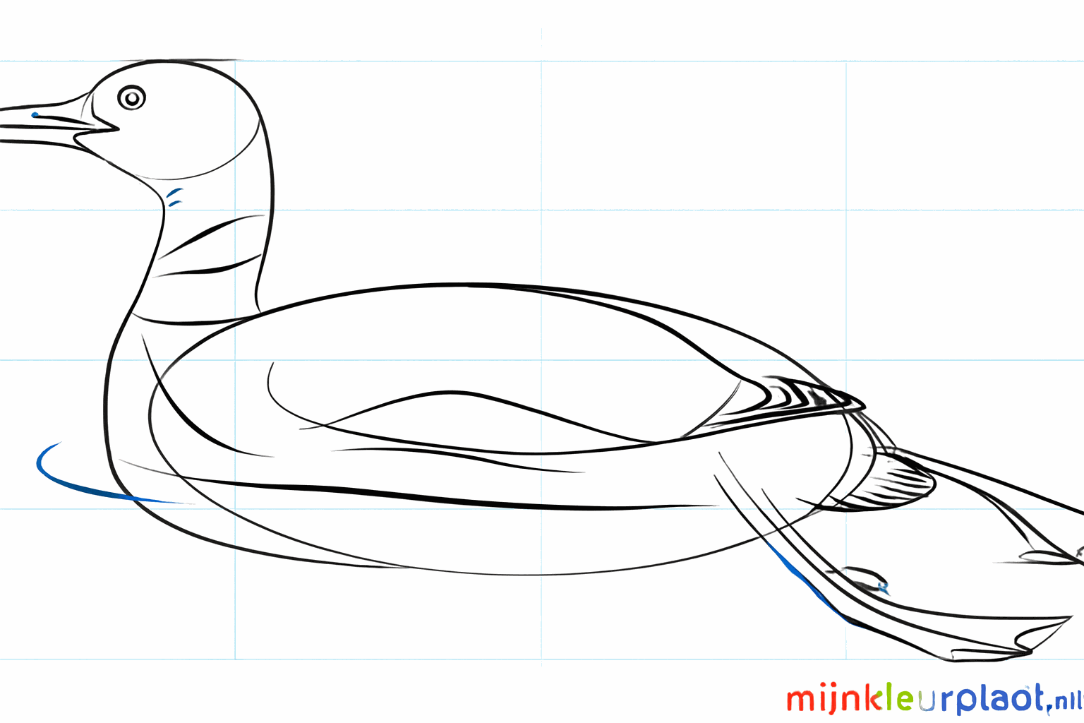 Detail of the eye and the first lines of the feather pattern.