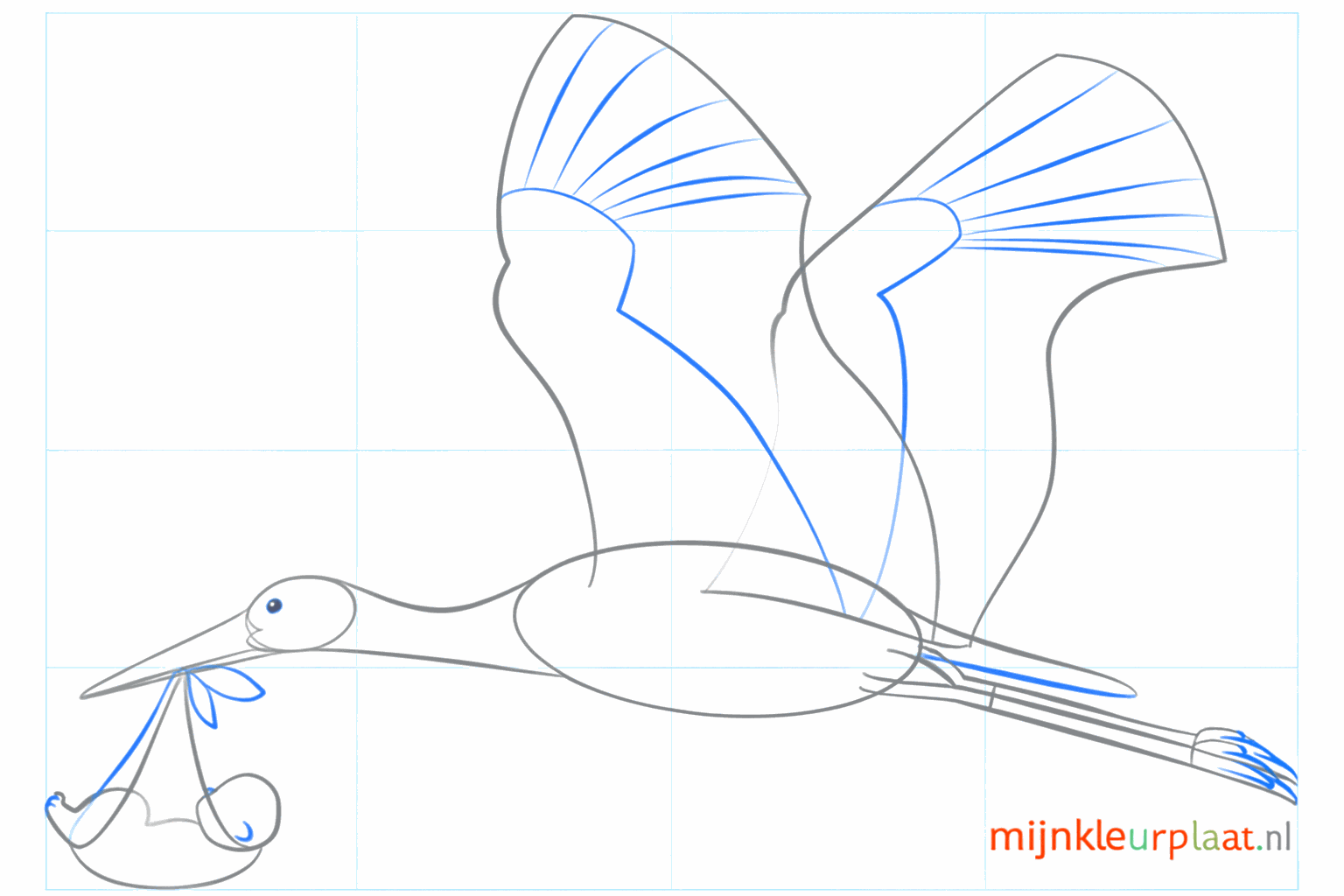 Details of the wing and the baby's tiny feet.