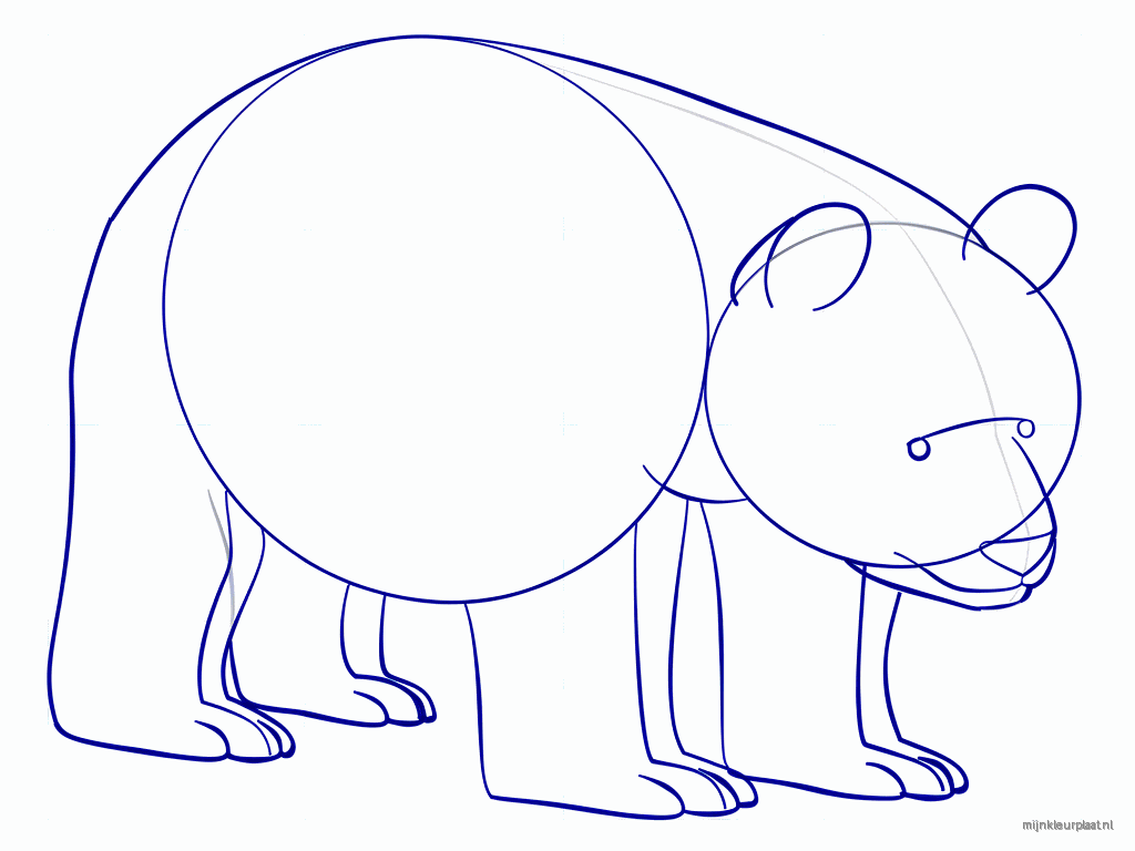 Two oval shapes on the side of the body as front paws.