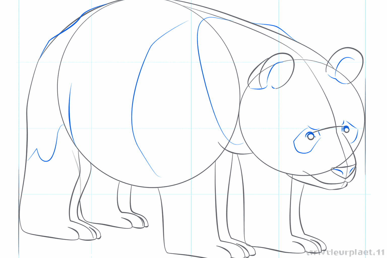 Face details with eyes and a small nose.