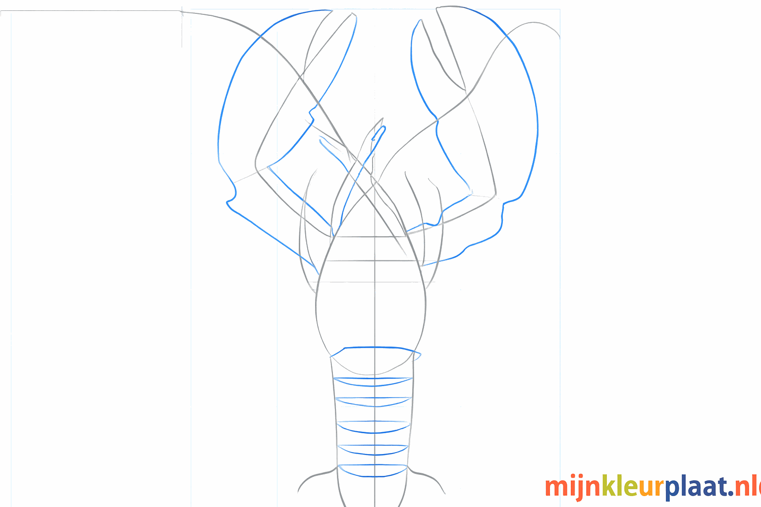 De omtrek van twee grote scharen en strepen op de staart van de kreeft.