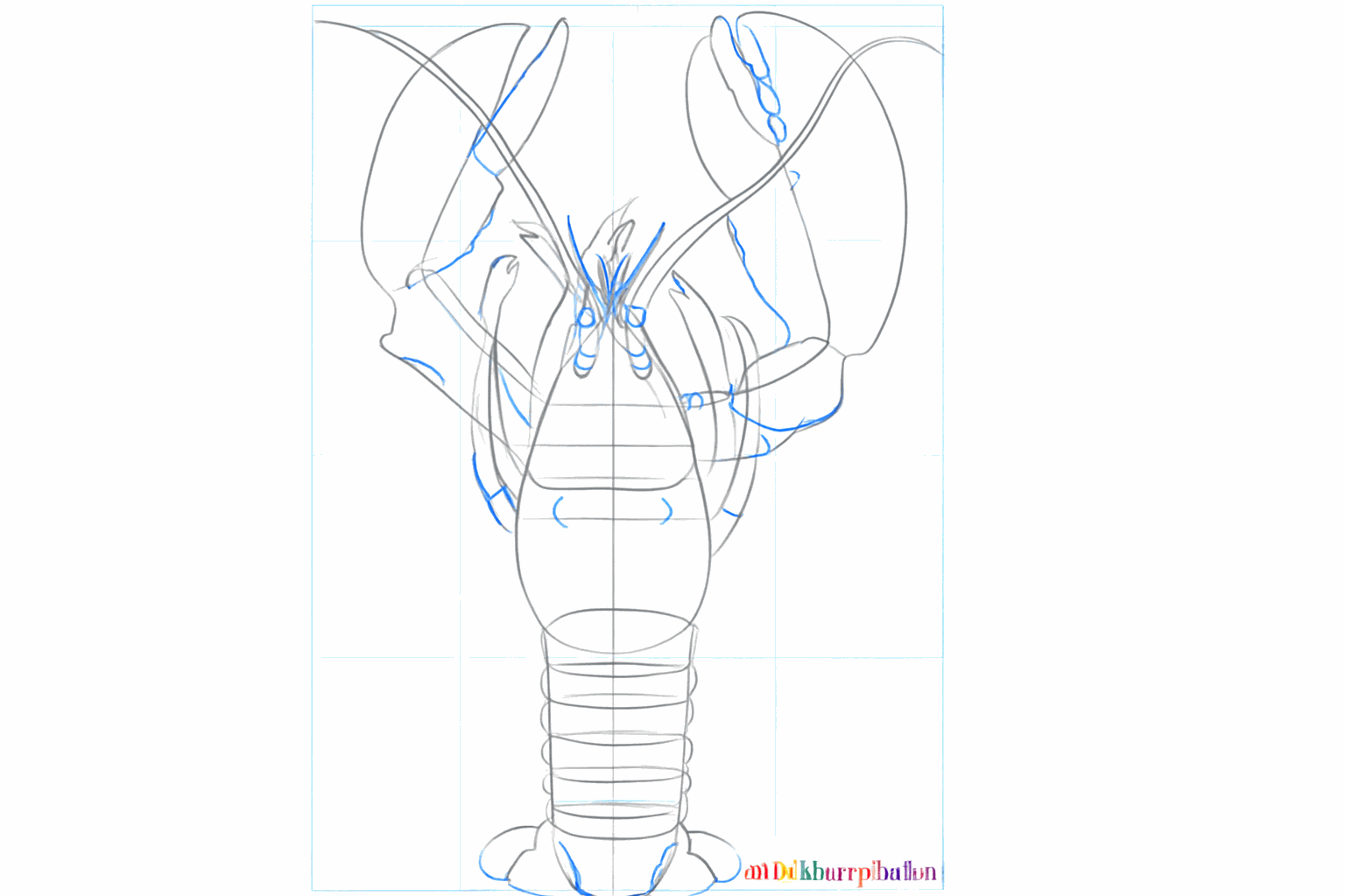 Details zoals ogen en kleine lijntjes op de scharen van de getekende kreeft.