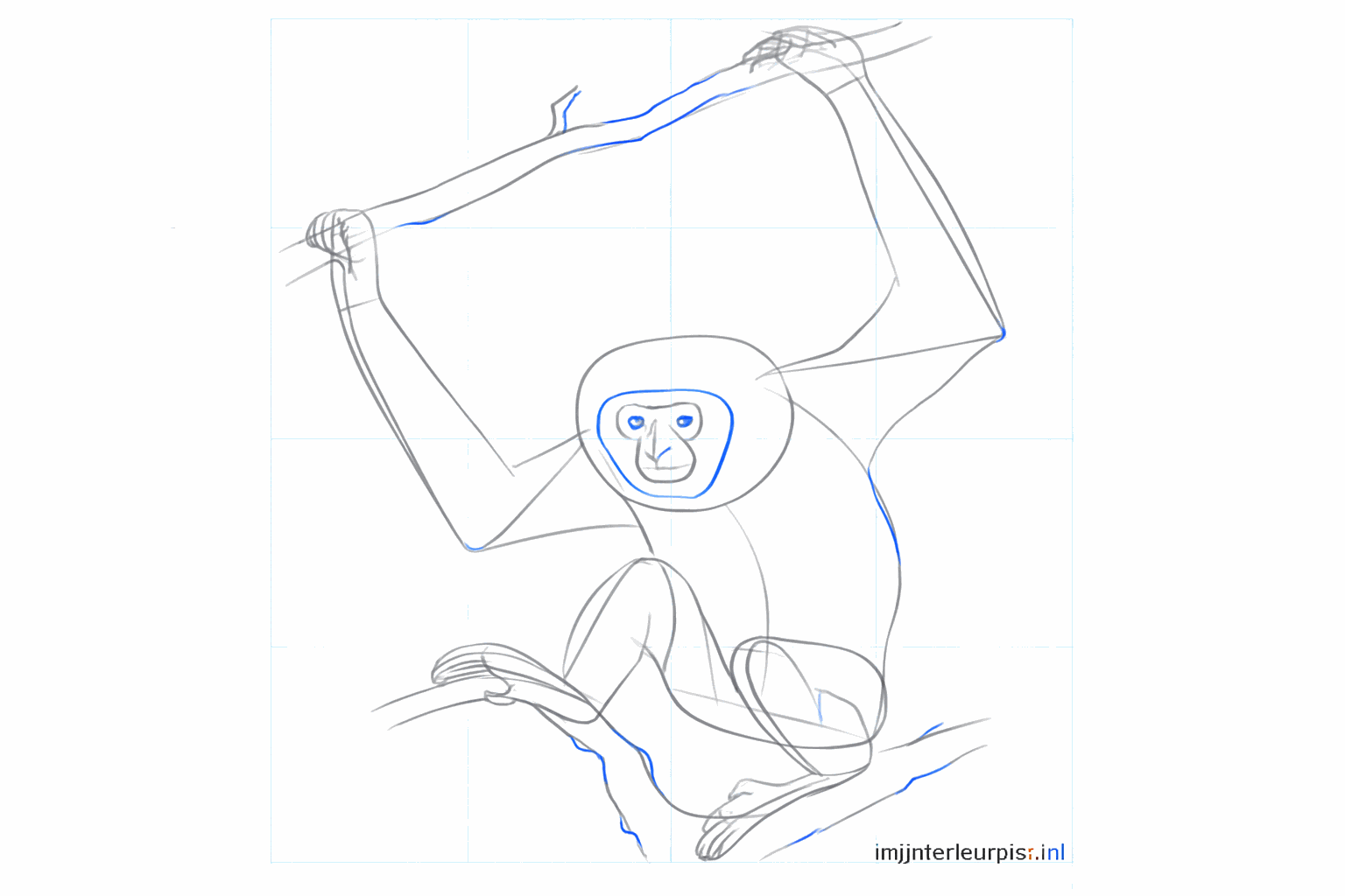 Het gezicht van de gibbon met ogen en een neusje.