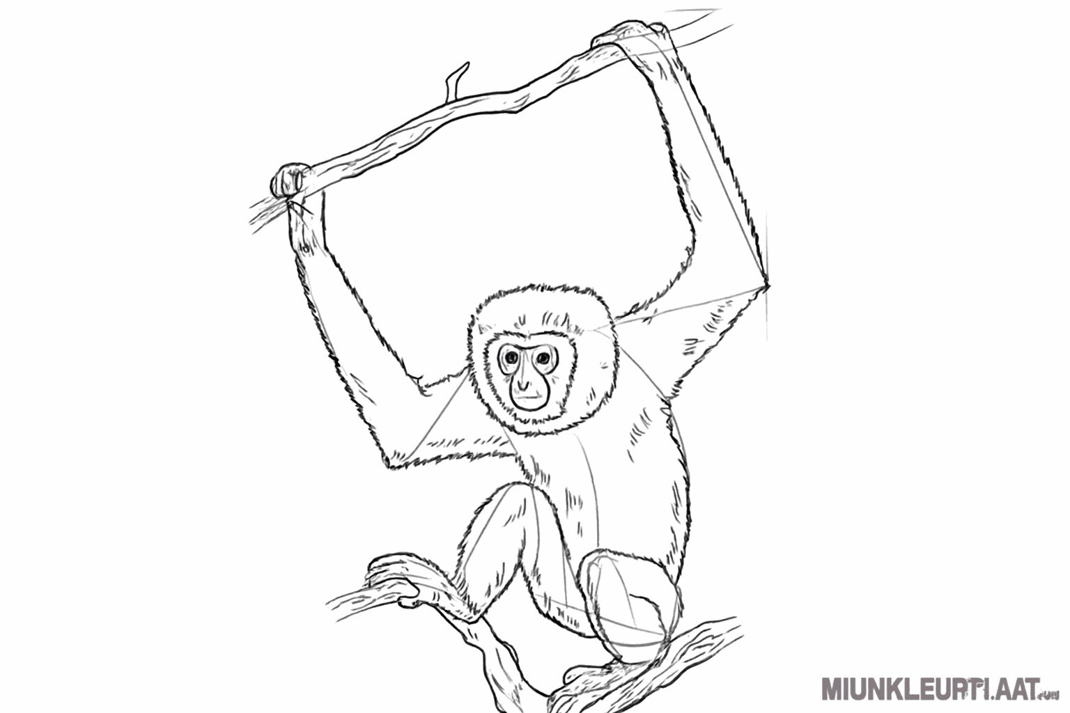 Harige lijntjes voor de vacht en meer details op de takken.