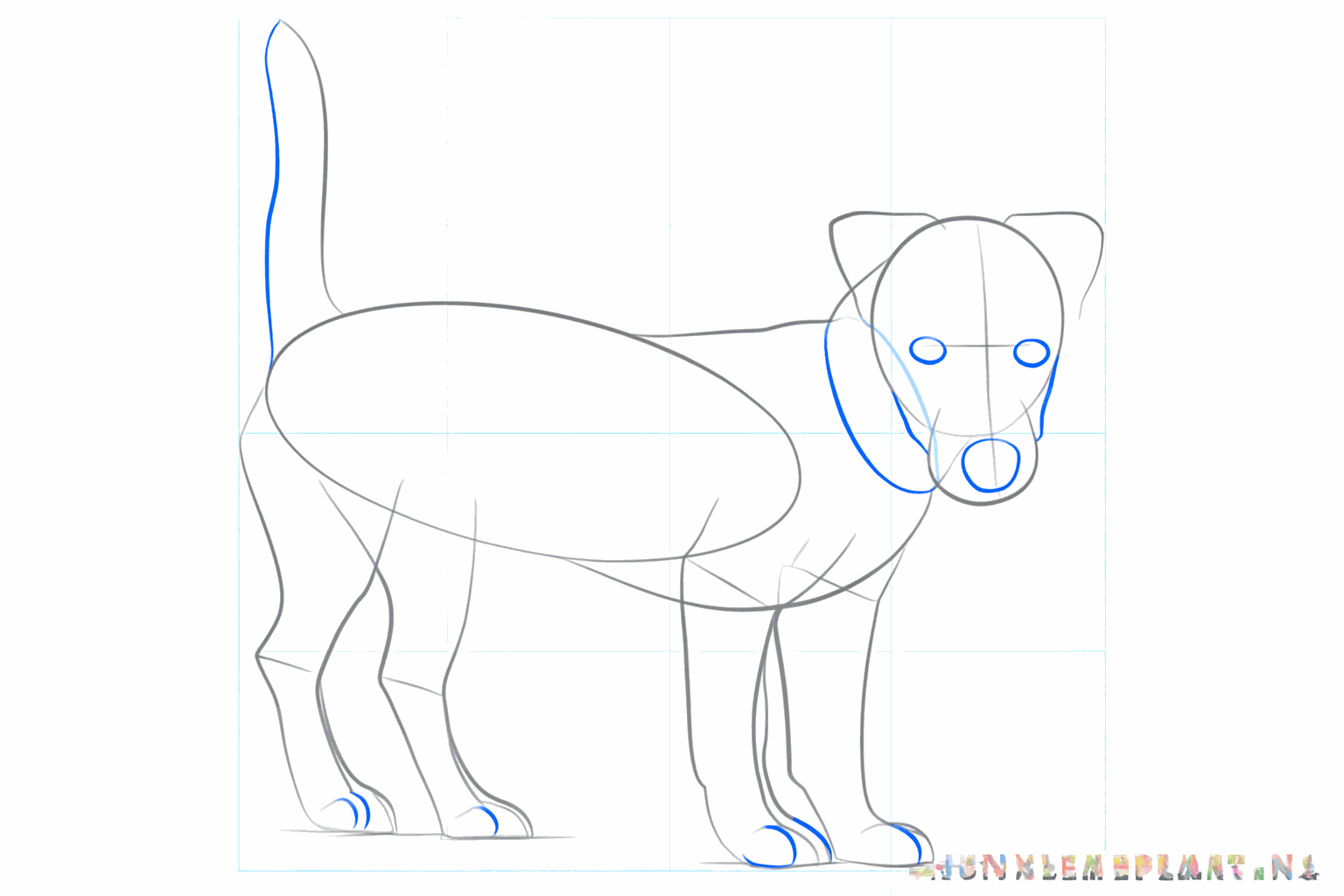 Details van het gezicht en de voetjes van de Jack Russell terrier.