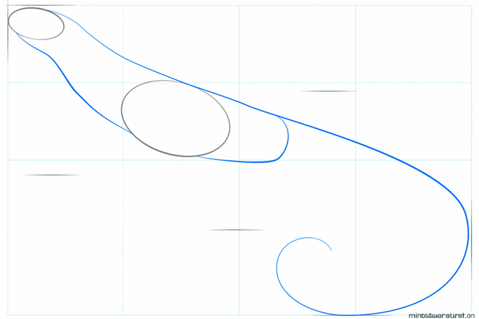 De nek en de lange staartlijn van de leguaan worden getekend.
