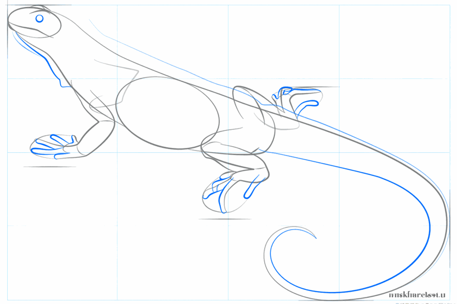 Het oog en de dikke staart van de leguaan krijgen vorm.