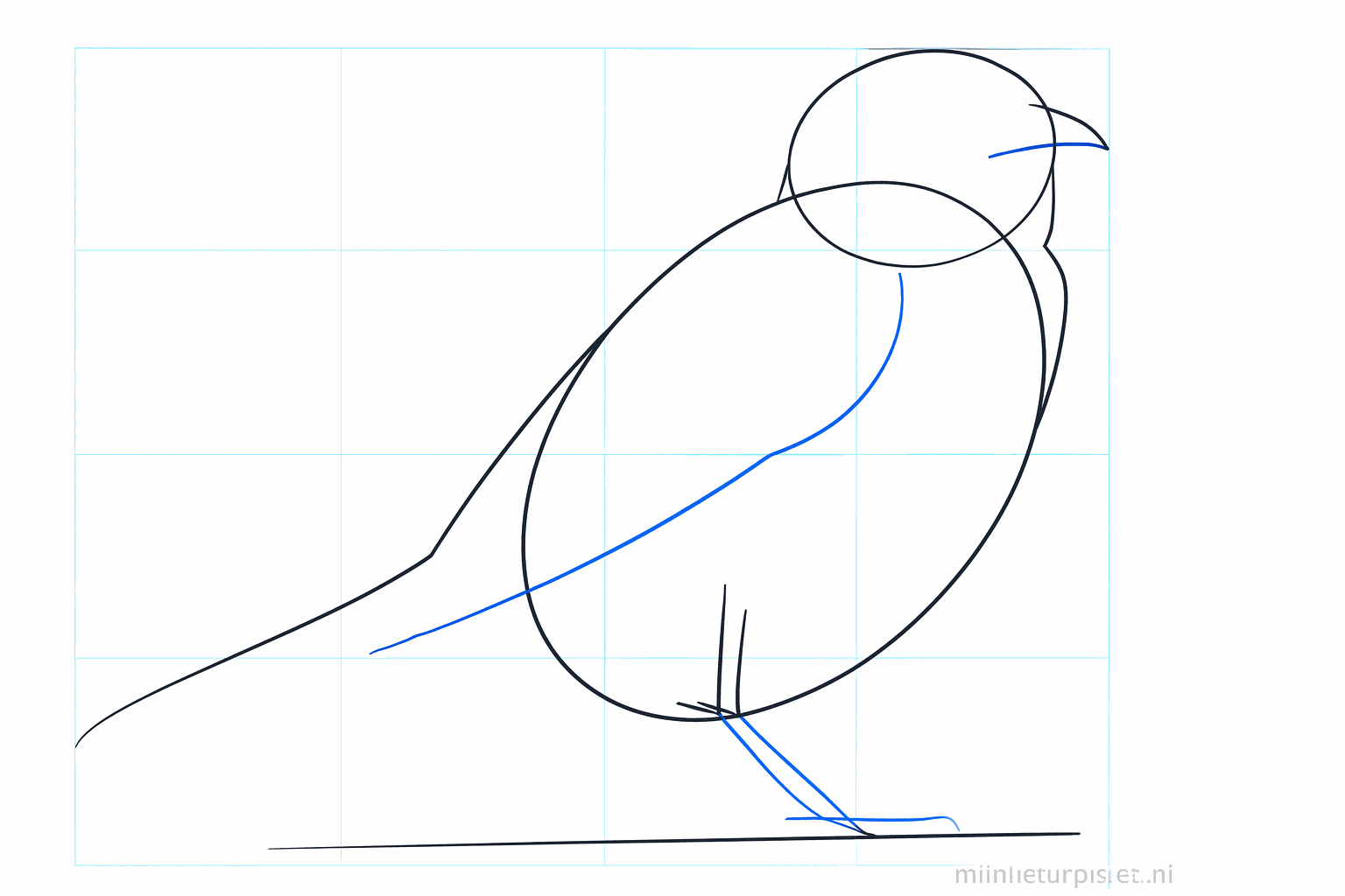 Place lines for the wing, the beak, and the position of the legs.