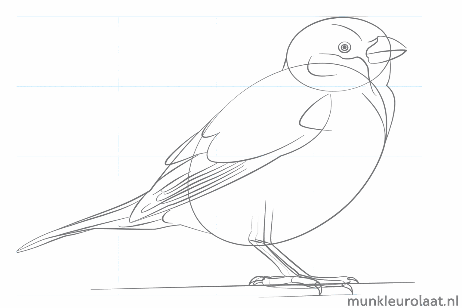 Add claws and the first feathers on the wing.