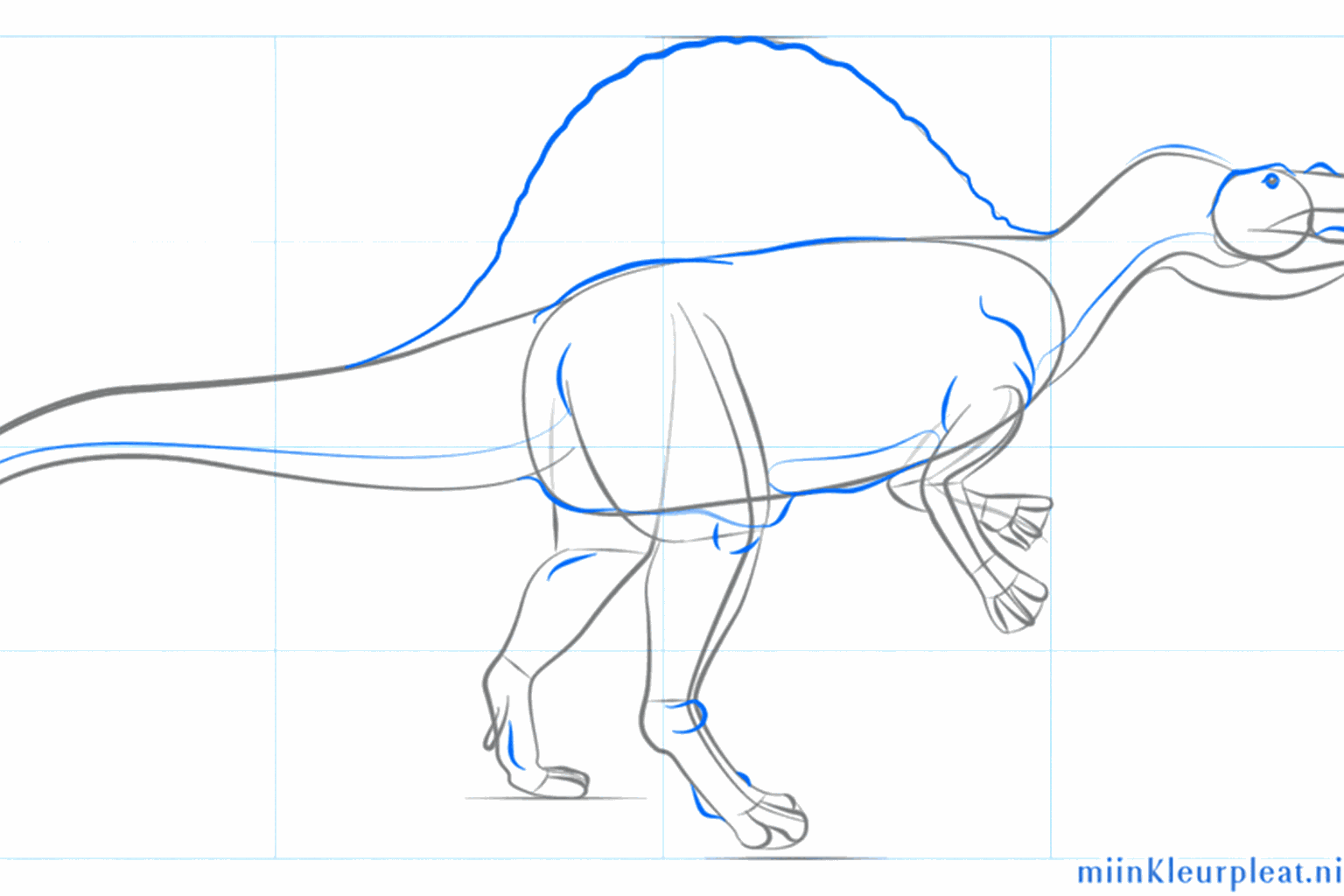 Detail van de kop met een oog en voeten met drie grote tenen eraan.