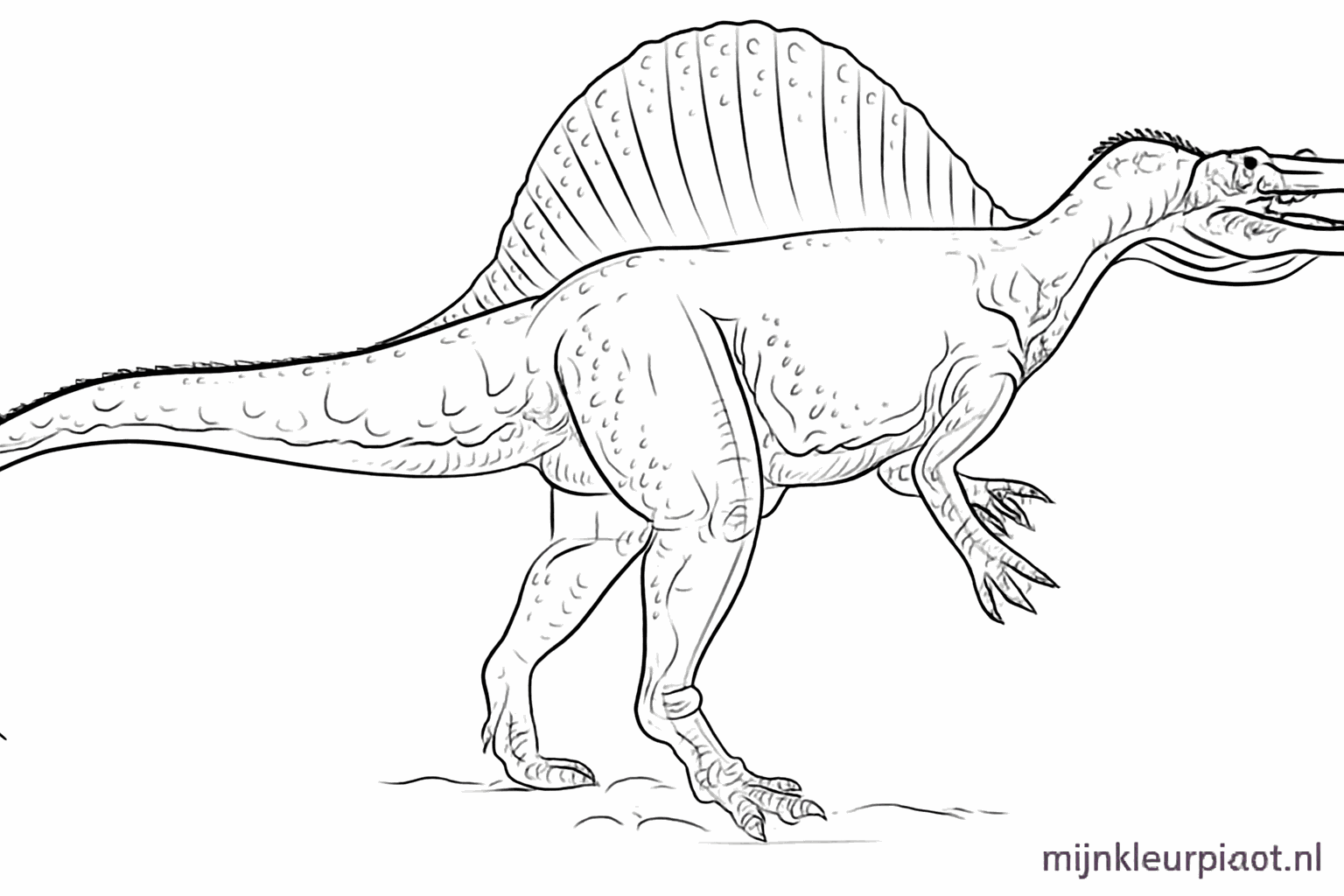 Verticale strepen in het rugzeil en huidplooien op het lichaam van de dino.