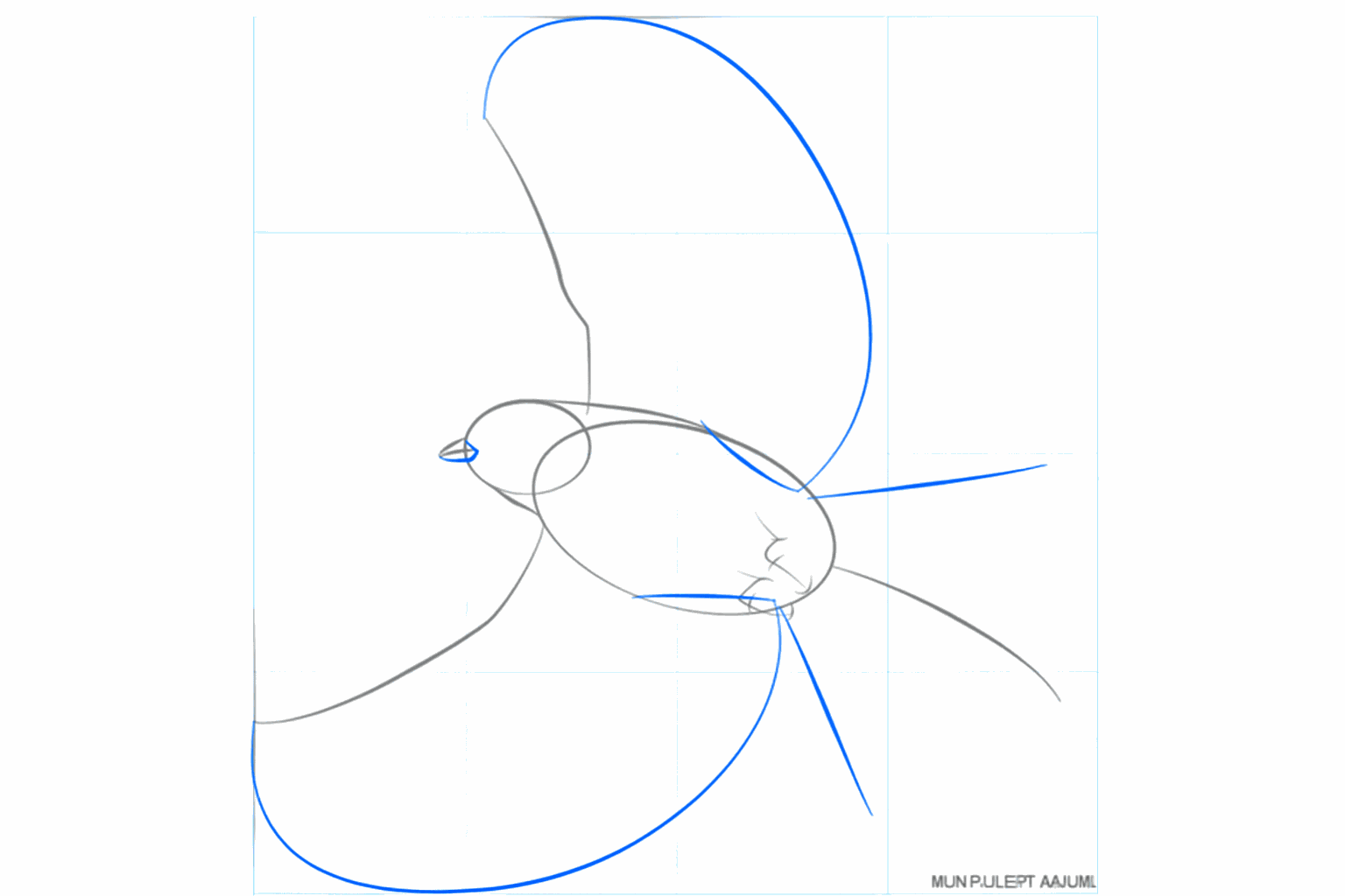 Sketch of the beak and the start of the legs under the body.