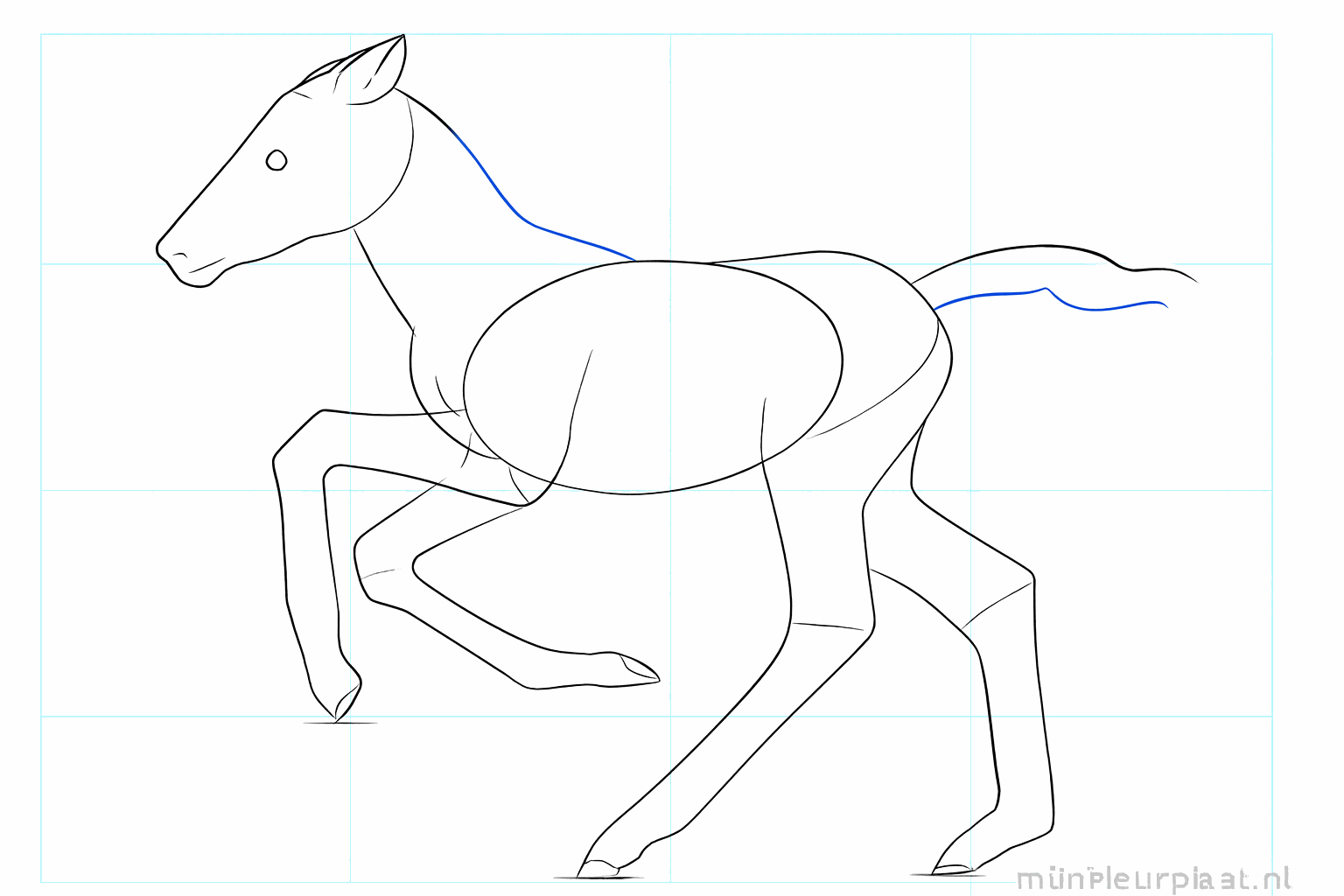 Details van de snuit en de oren van het baby-paard.