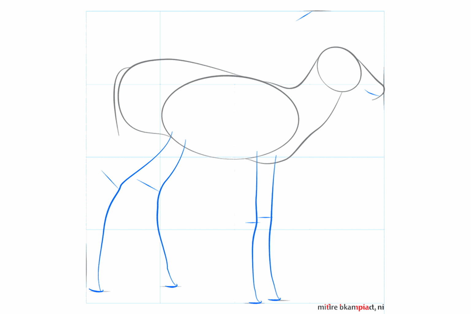 Lijnen die de positie van de vier poten en de staart van het hertje aangeven.