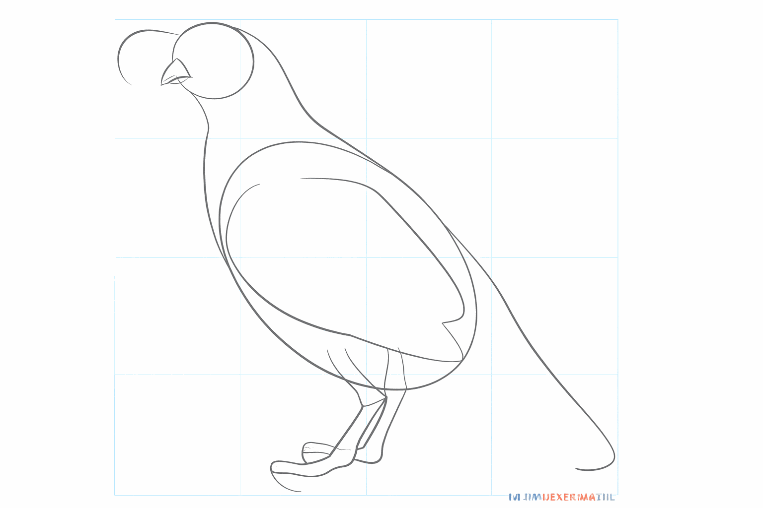 Shapes of the beak, wing, and thicker legs visible.