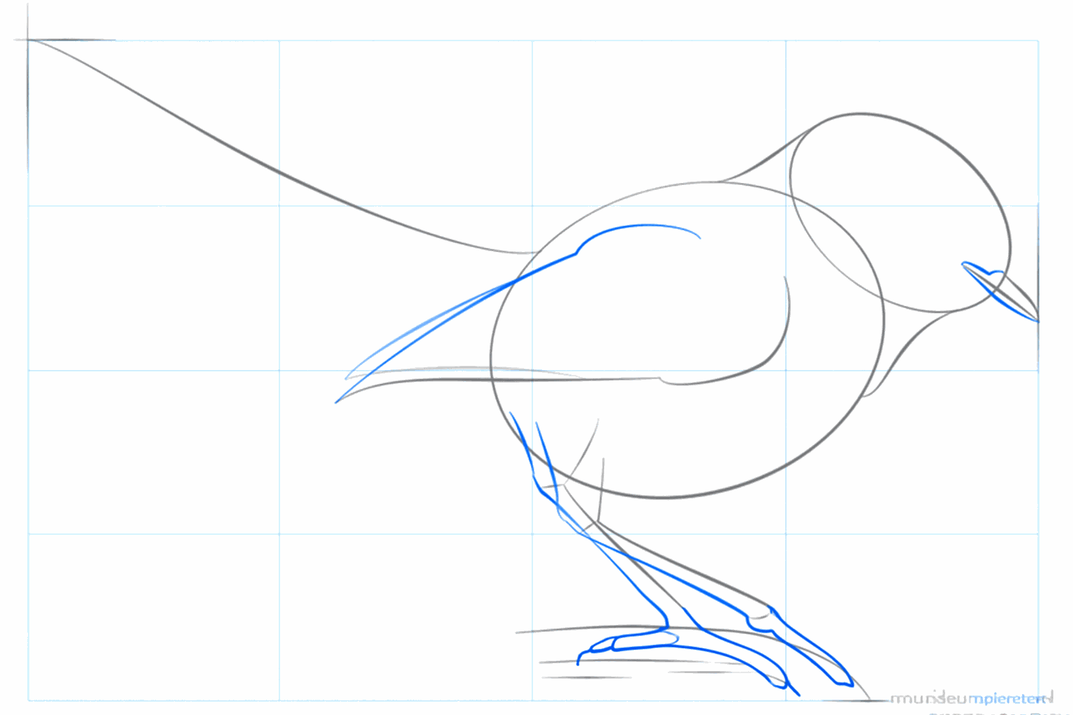 The beak, wings, and legs get more shape on the paper.