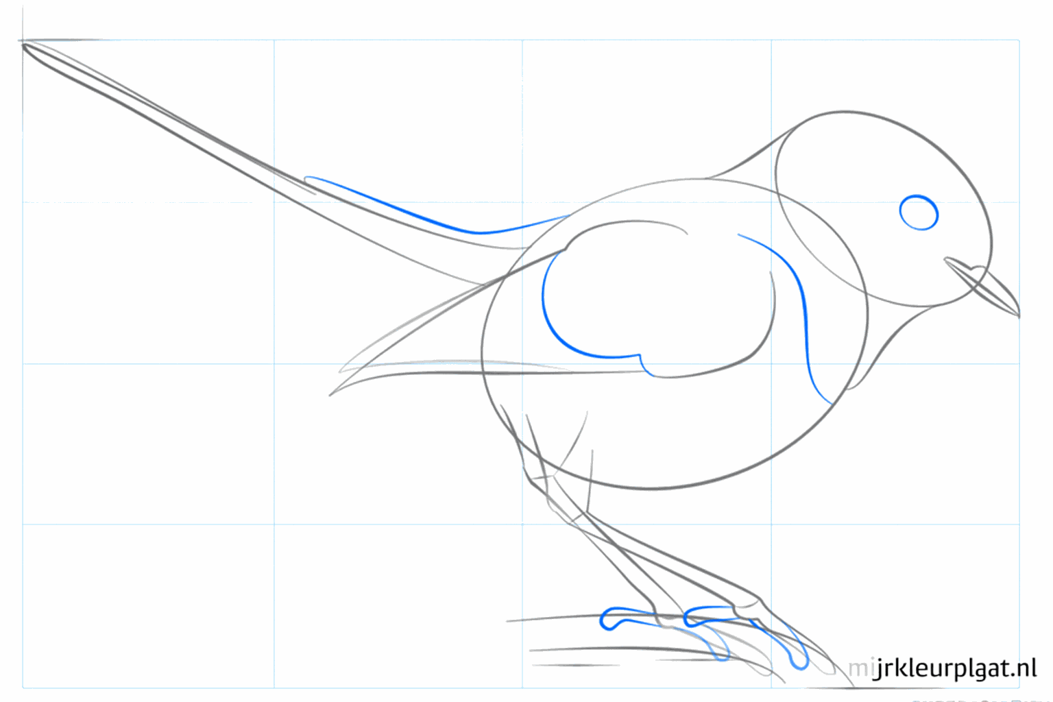 Adding an eye and a wide tail to the bird drawing.