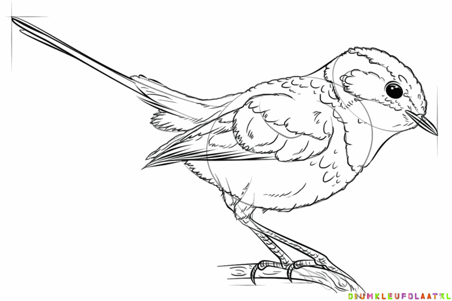 Small details like claws and feathers are drawn everywhere.