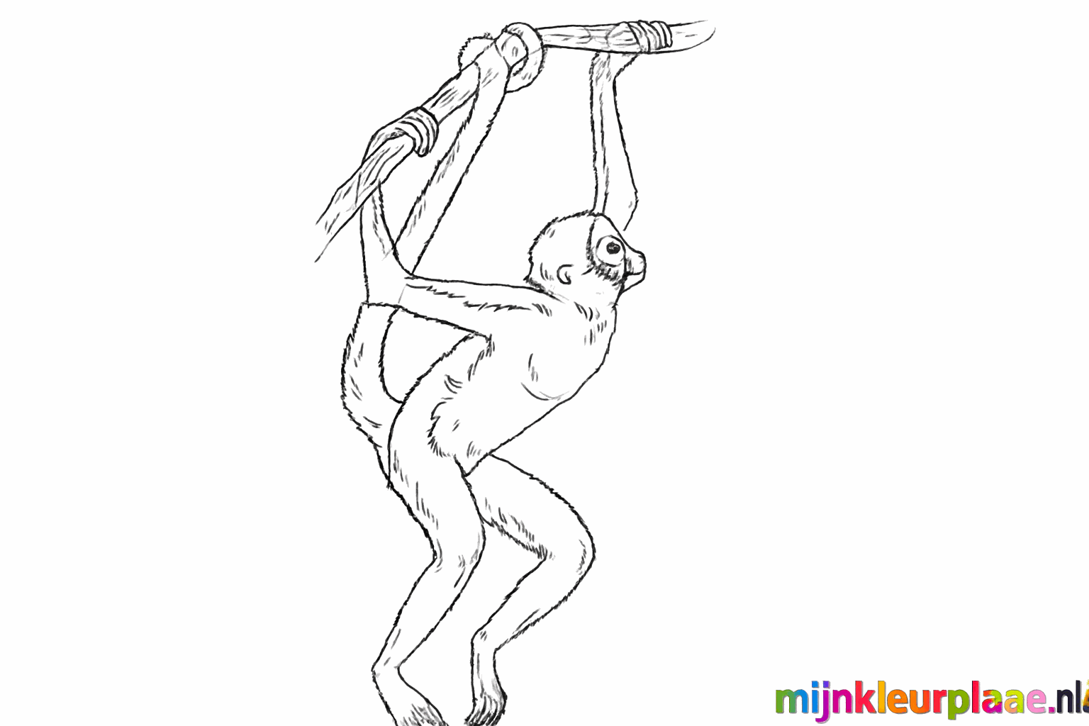 De staart dikker maken en kleine details zoals de neus toevoegen.