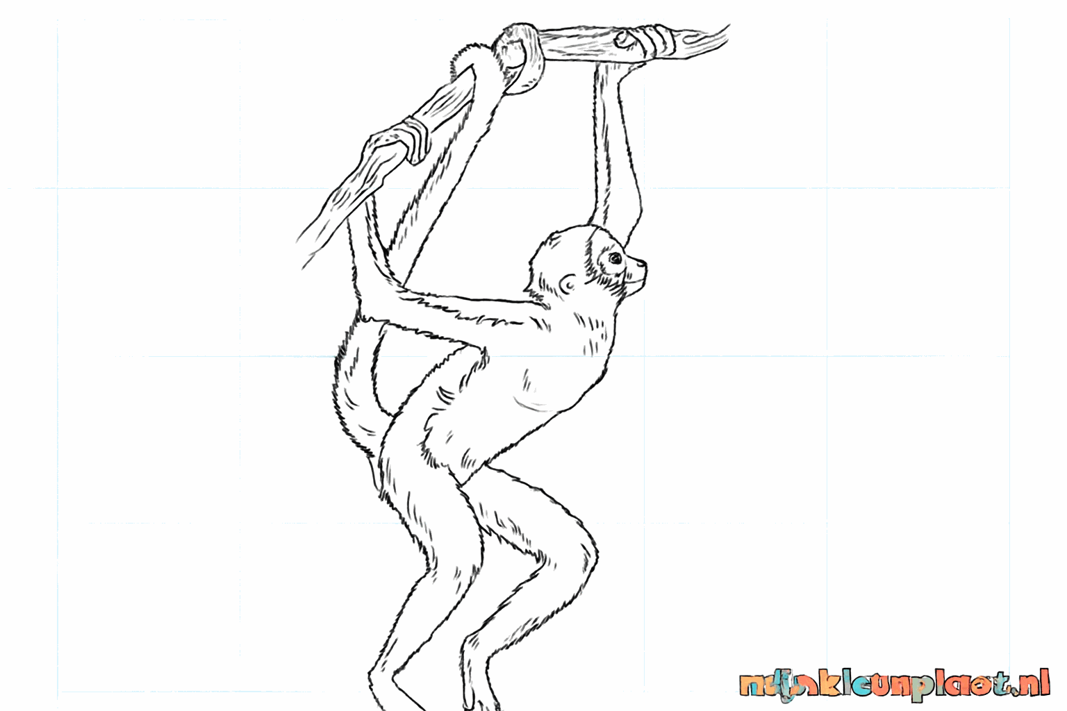 De laatste details van de boom tekenen en de hulplijnen wegvlakken.