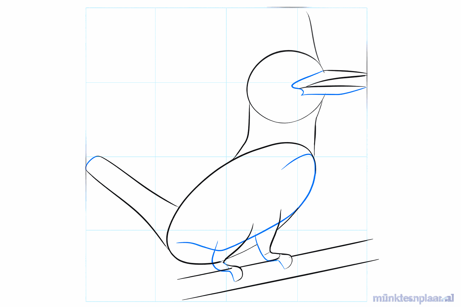 Drawing a long beak and the shape of a wing on the kingfisher.