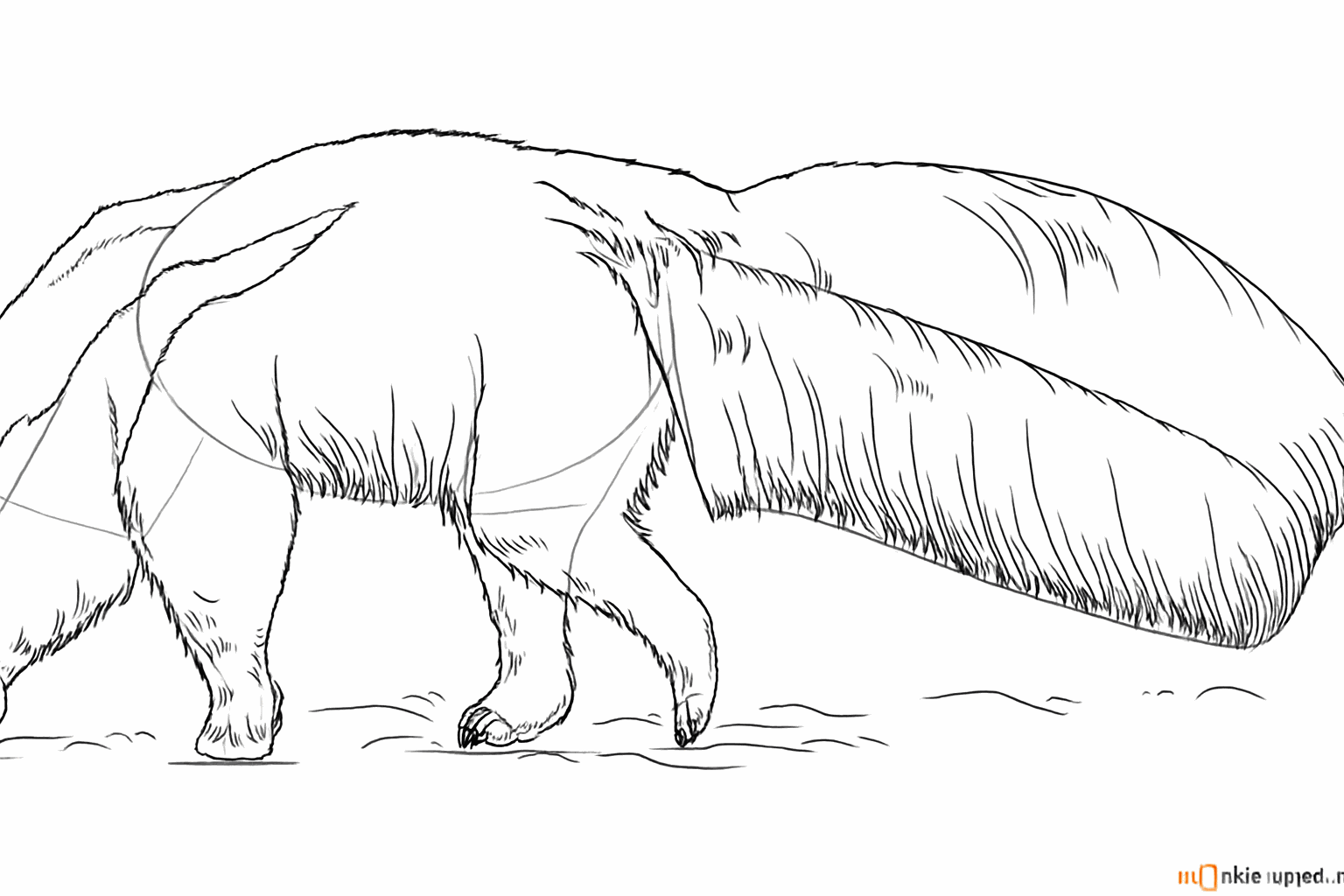 Scherpe klauwen en kleine streepjes die lijken op haren.