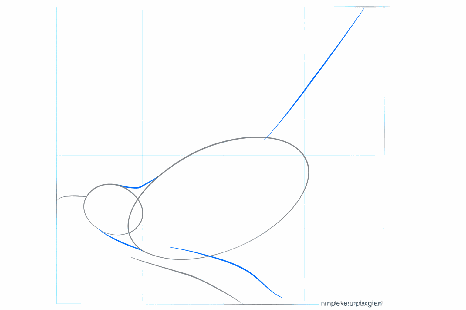 Guide lines for the neck and the long tail of the cuckoo.