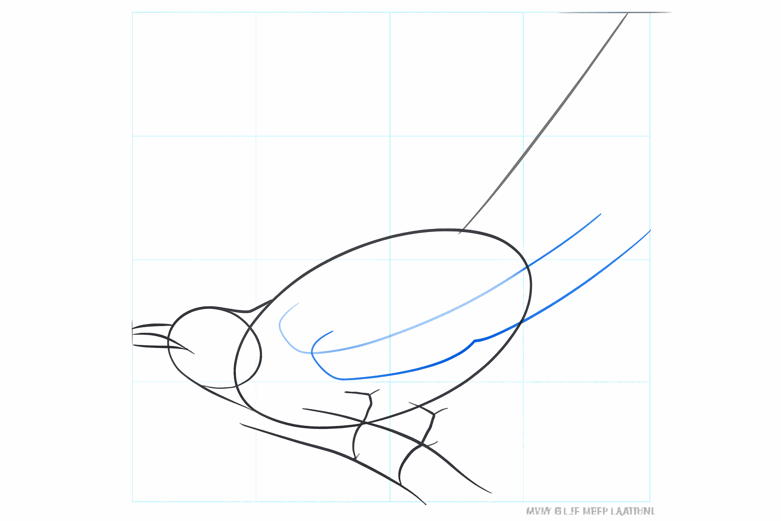 Drawing of a beak and the first lines of the wing.