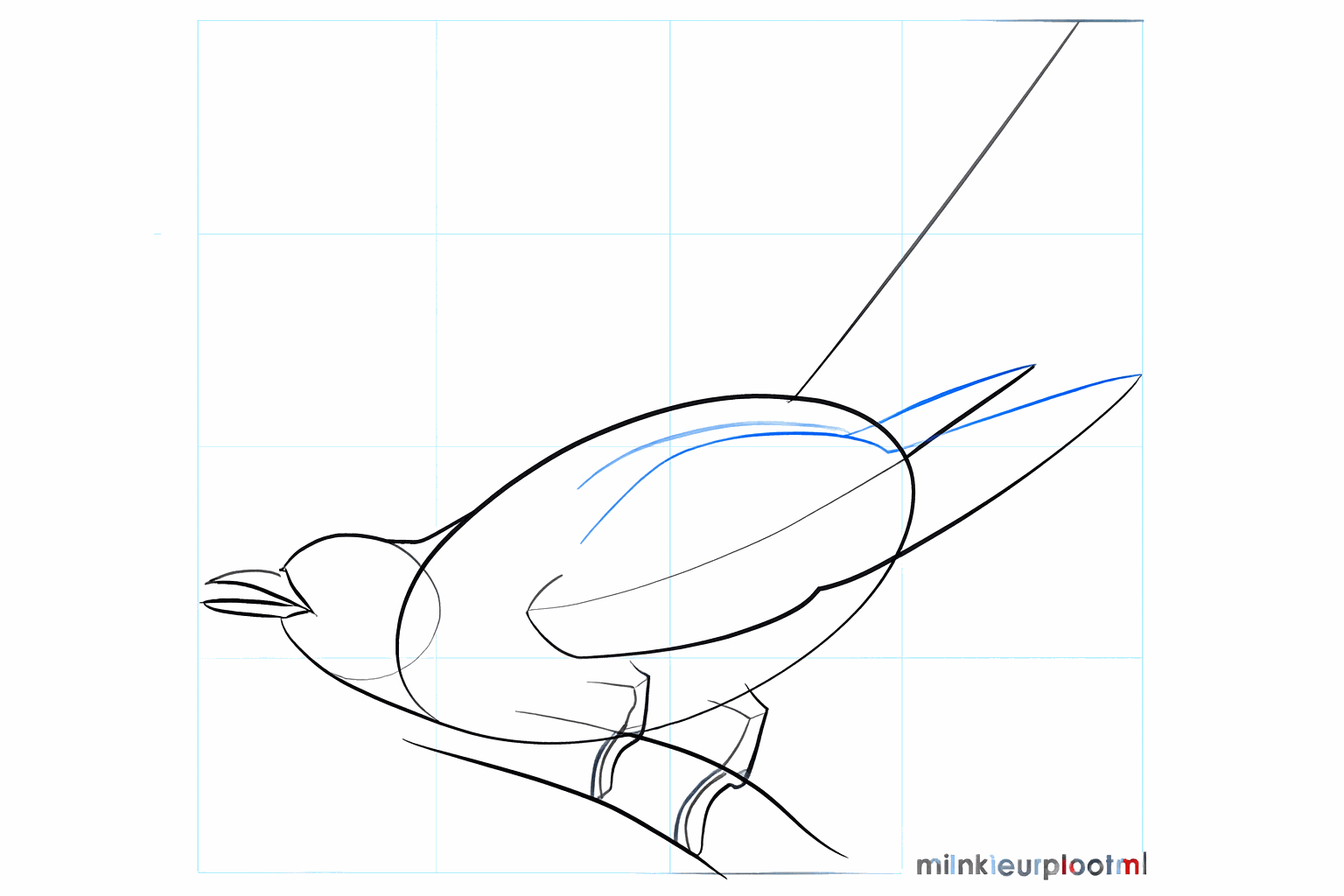 Shape of the wing and guide lines for the bird's legs.